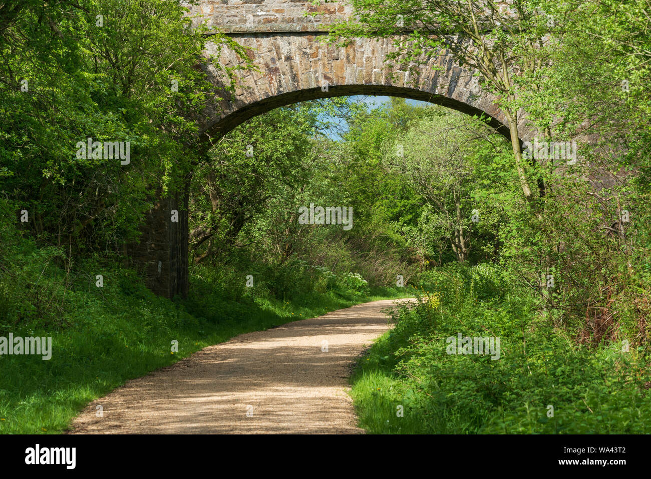 Ampio percorso chiaro che conduce attraverso e sotto l'arcata in pietra di un vecchio ponte ferroviario nel bosco a Waskerley modo una distanza lunga pista ciclabile. Foto Stock