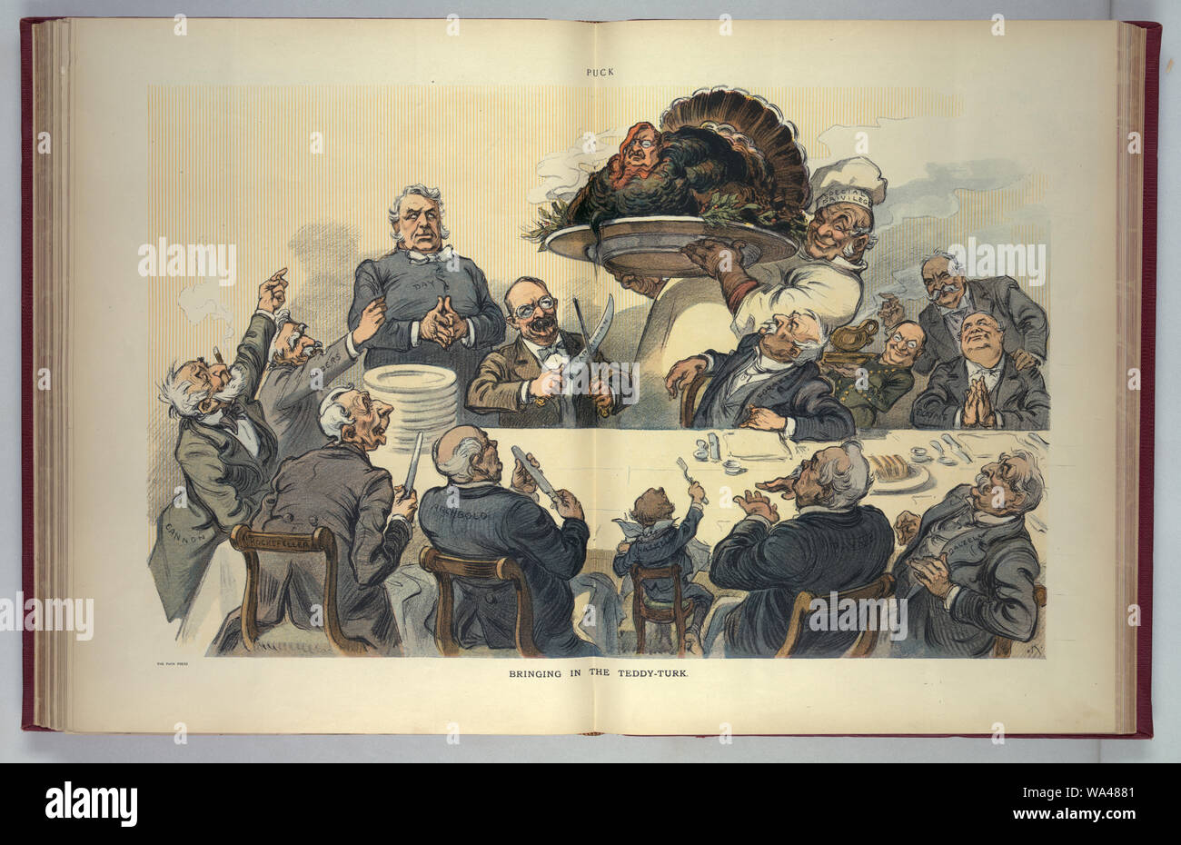 Portando il Teddy-turk / K. Foto Stock