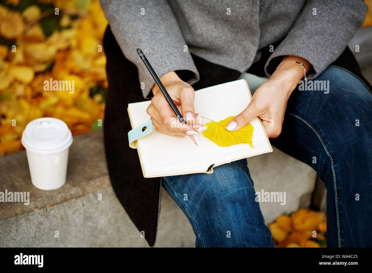 Donna di mani di close-up holding notebook carta e matita e iscritto o abbozzare qualcosa, vista da sopra Foto Stock