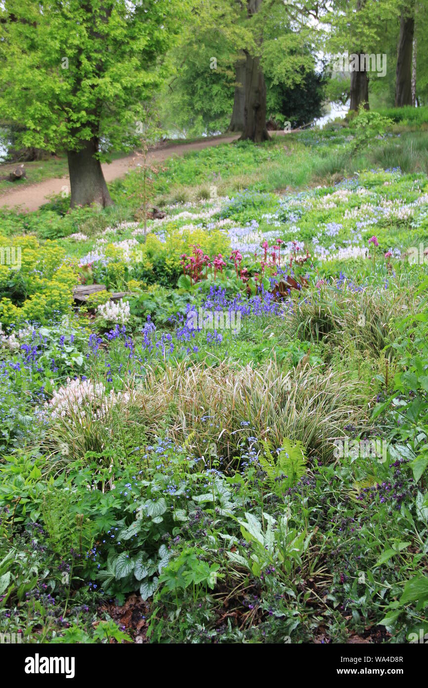 Trentham Estate e giardini Foto Stock