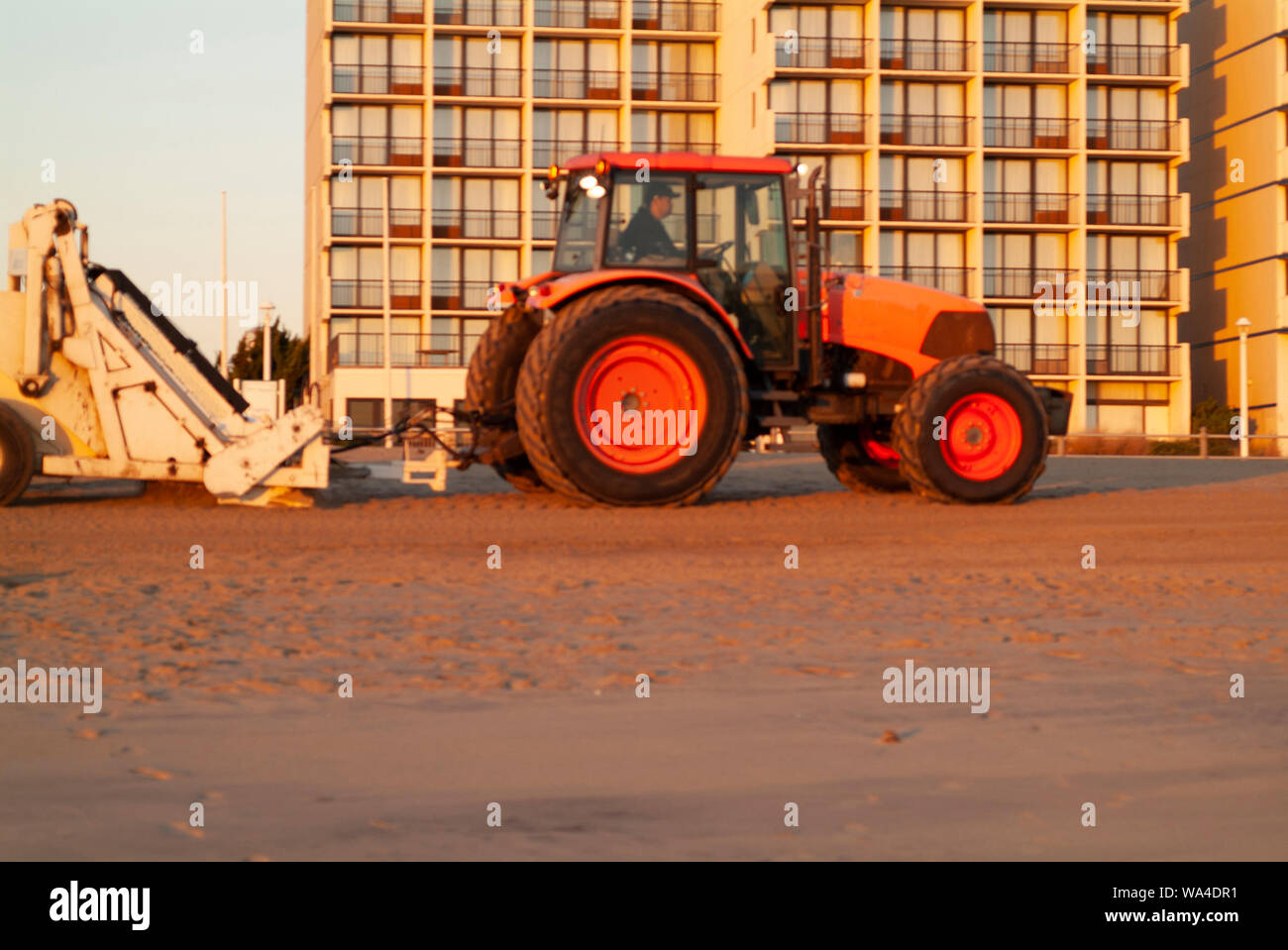 SPAZZATA mattutina: Un trattore con un dispositivo di vagliatura collegato pulisce e rimuove i rifiuti dalla spiaggia della Virginia nelle prime ore dell'alba. Foto Stock