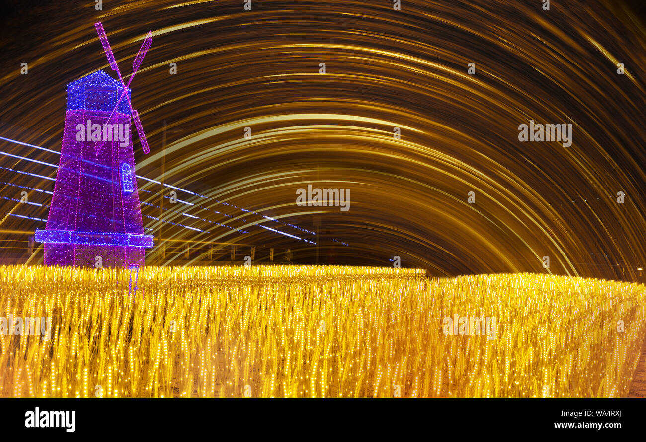 Golden campi di grano Foto Stock