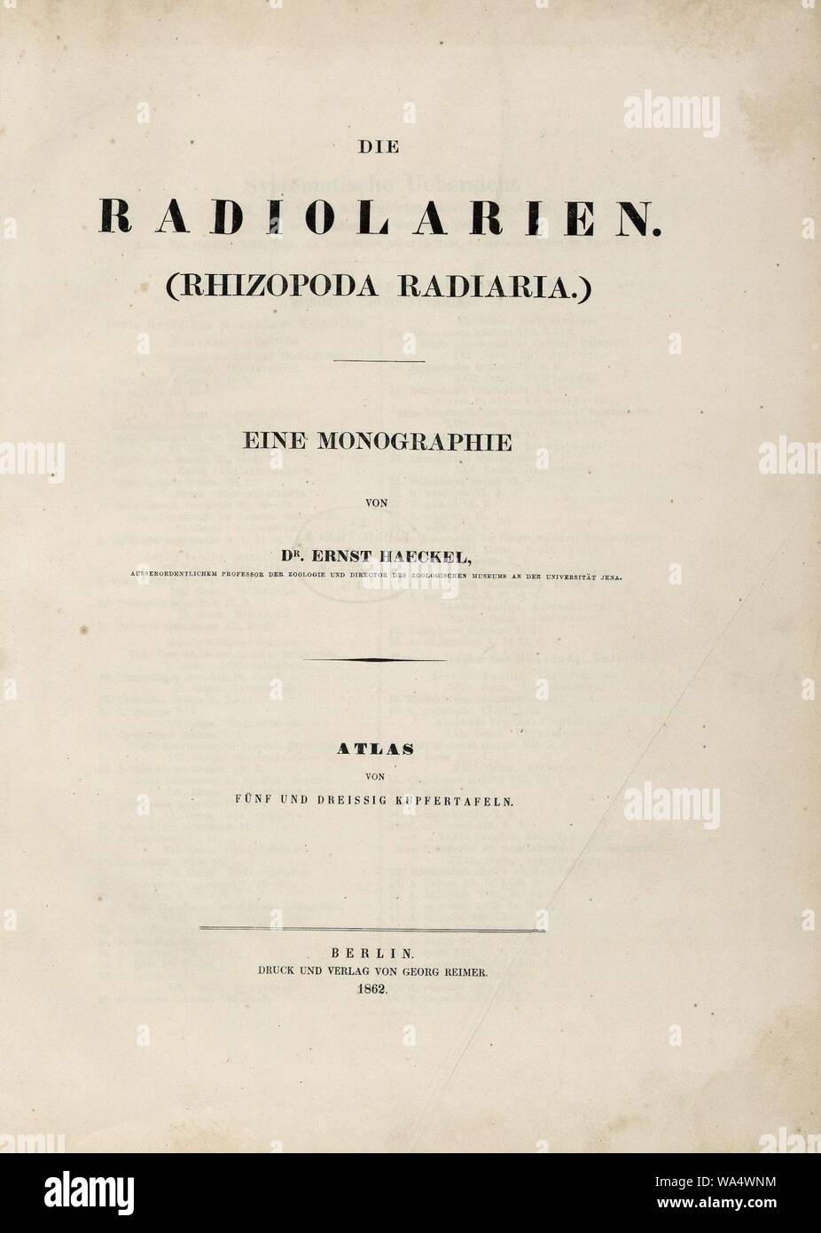 Die Radiolarien (Rhizopoda radiata) - Ernst Haeckel - Titelblatt. Foto Stock