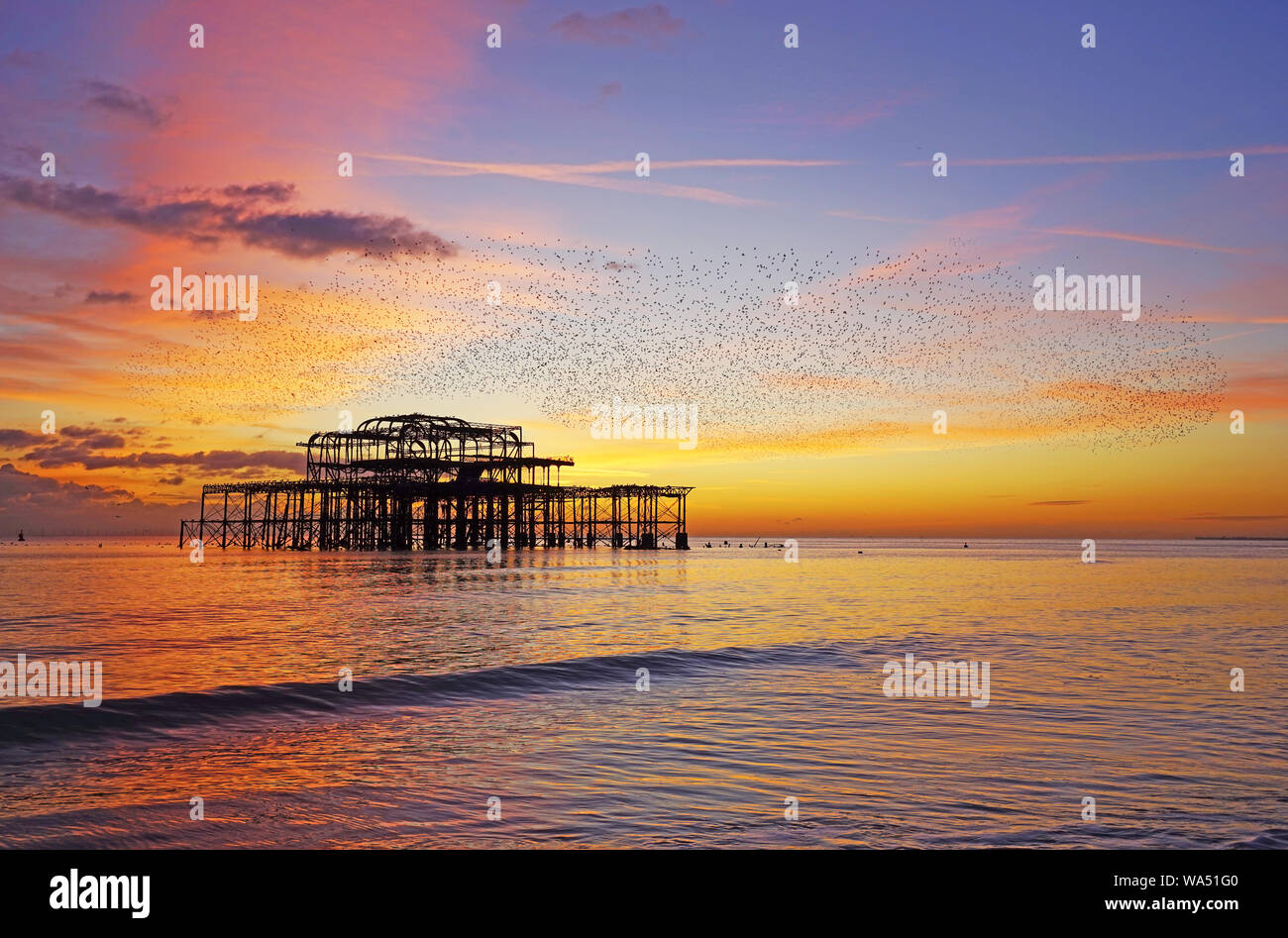 Molo Ovest di Brighton murmuration e al tramonto Foto Stock