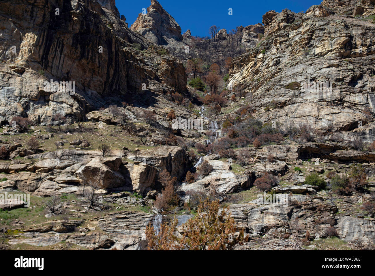 Lamoille Canyon Foto Stock