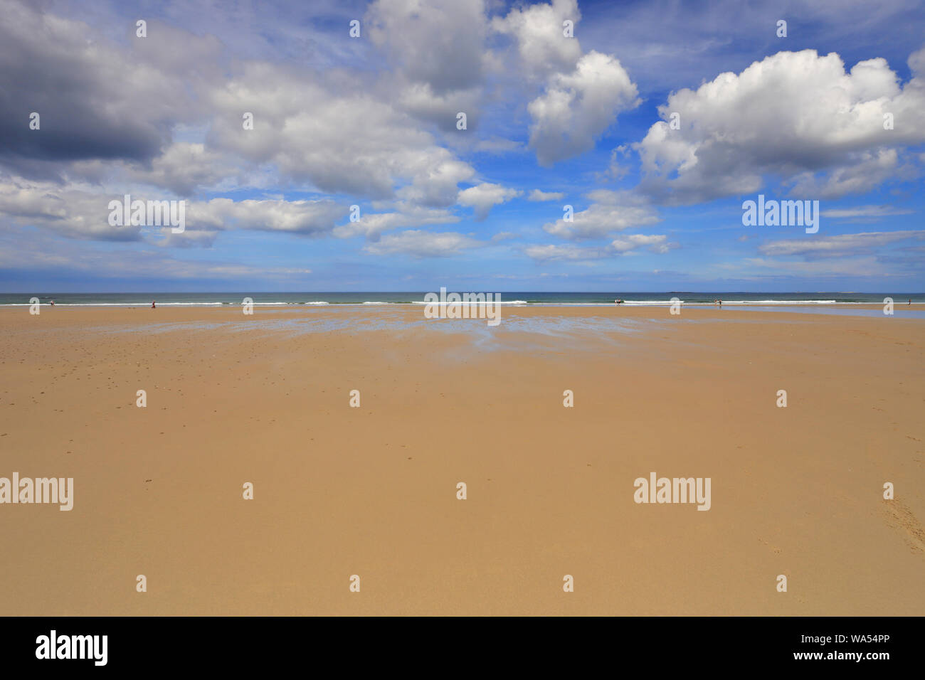 Bamburgh beach, un grande cielo di cumulus nuvole e una distesa di spiaggia di sabbia da off il Northumberland sentiero costiero, Bamburgh, Northumberland, Inghilterra. Foto Stock