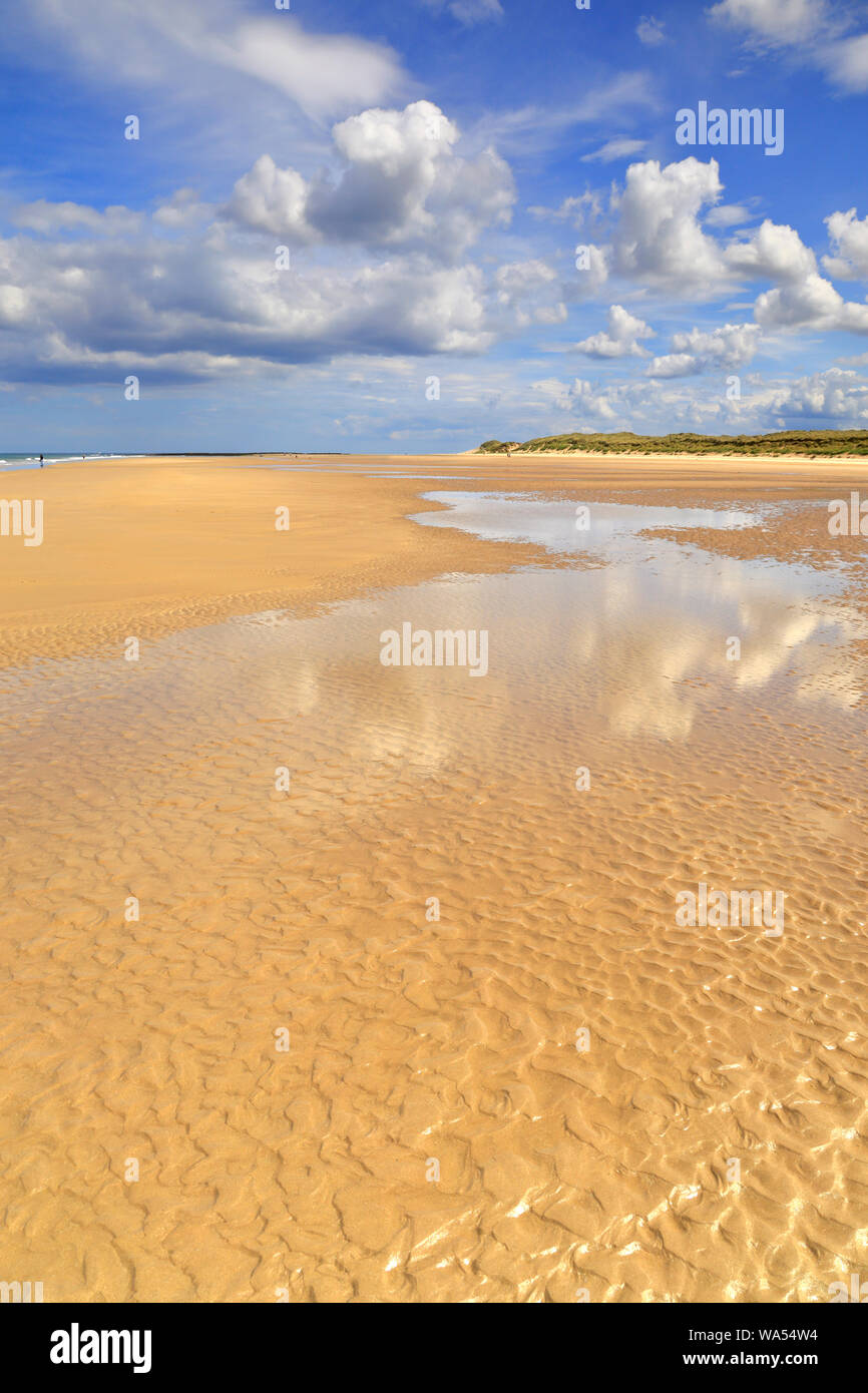 Bamburgh beach, un grande cielo di cumulus nuvole e una distesa di spiaggia di sabbia da off il Northumberland sentiero costiero, Bamburgh, Northumberland, Inghilterra. Foto Stock
