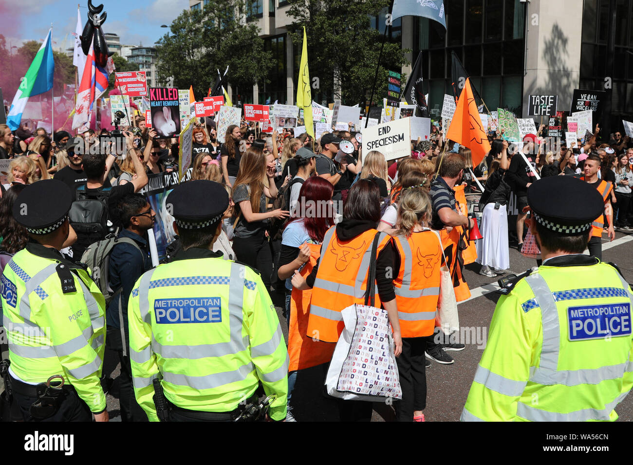 Londra, Regno Unito. Il 17 agosto 2019. I manifestanti al funzionario dei diritti degli animali marzo marciando attraverso Londra è un annuale vegan marzo protestando il trattamento degli animali e organizzato dal pompaggio. Credito: Paul Brown/Alamy Live News Foto Stock