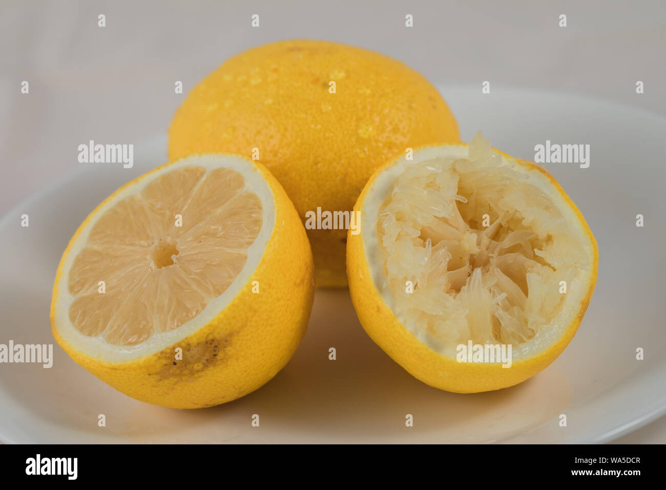 Un'immagine ravvicinata di limone giallo Foto Stock