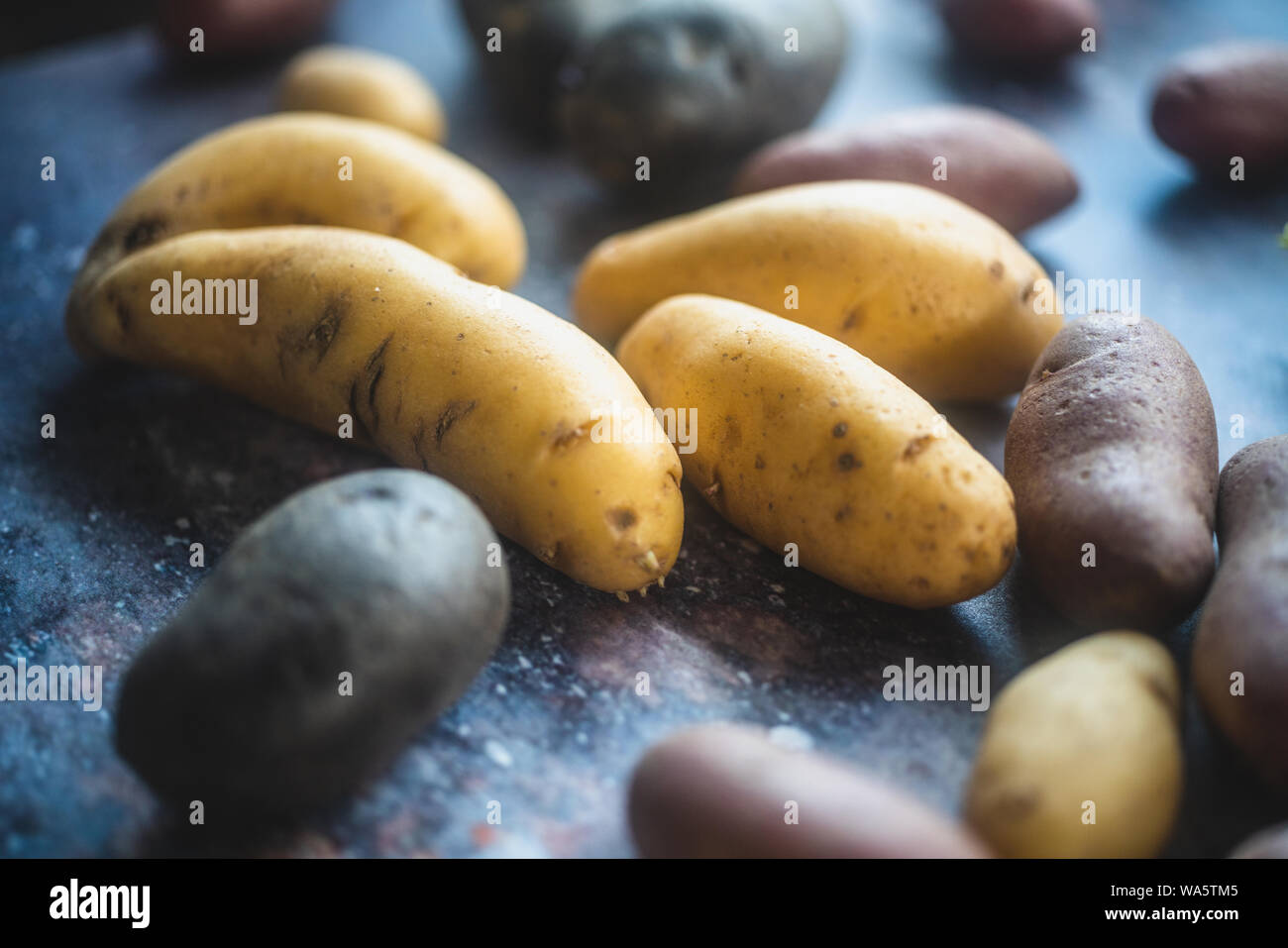 Primo piano della patate colorate sul rustico sfondo concreto Foto Stock