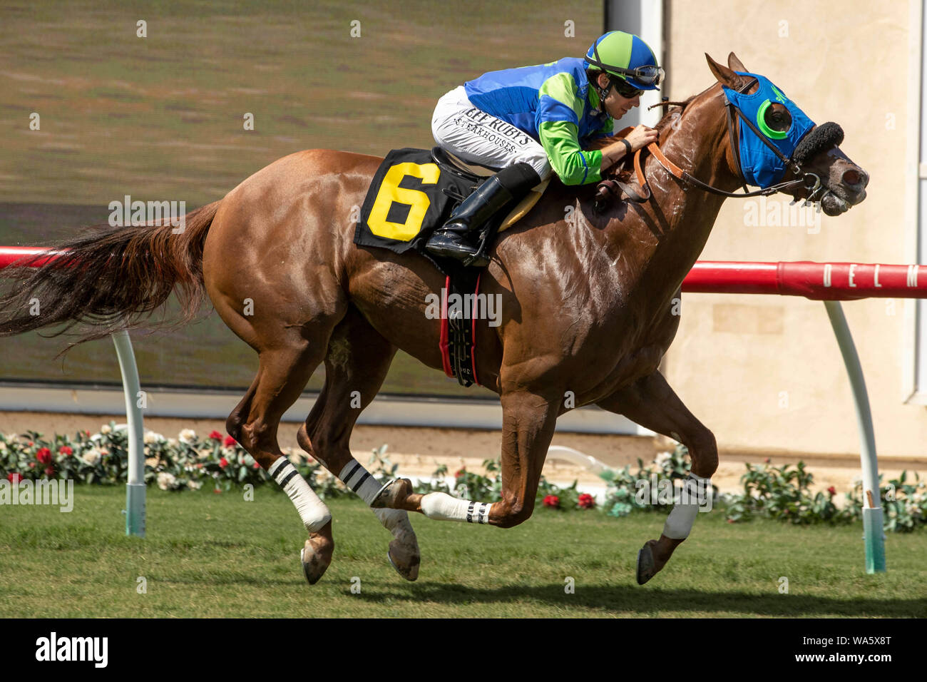 Agosto 17, 2019, Del Mar, CA, Stati Uniti d'America: DEL MAR, CA 17 agosto: #6 Signor Vargas, cavalcato da Giuseppe Talamo, nel tratto di Flash verde Handicap (Grado III) Il 17 agosto 2019 a Del Mar Thoroughbred Club Del Mar, CA. (Foto di Casey Phillips/Eclipse Sportswire/CSM) Foto Stock