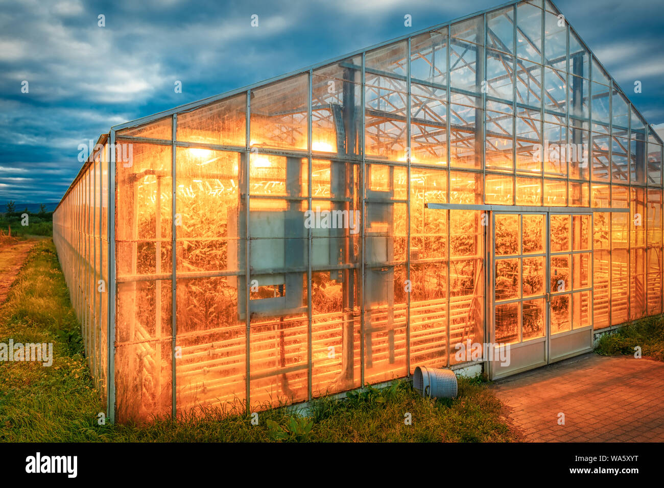 Incredibile geotermica in serra riscaldata per pomodori shining al tramonto su Islanda, estate Foto Stock