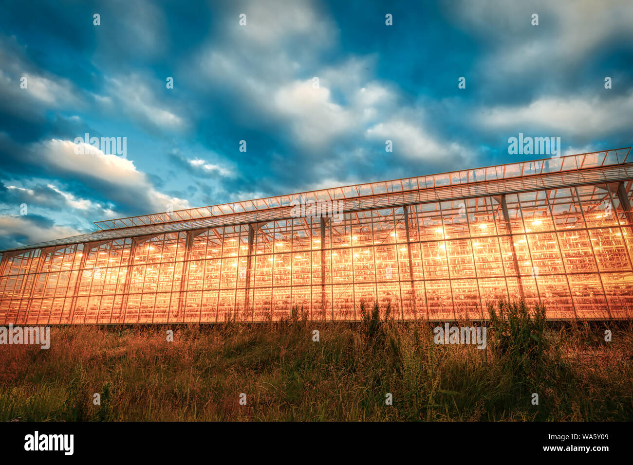 Incredibile geotermica in serra riscaldata per pomodori shining al tramonto su Islanda, estate Foto Stock