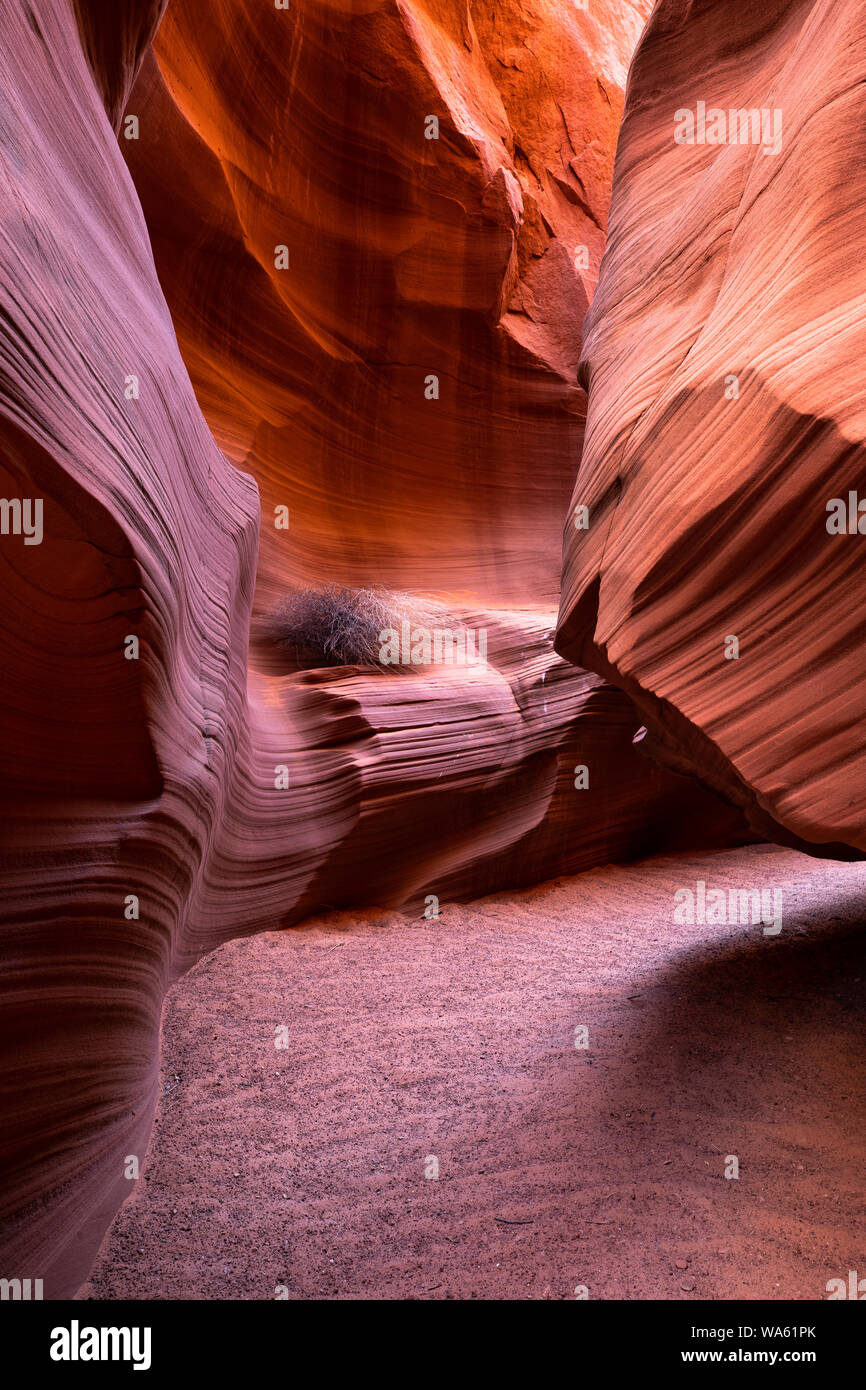 Passaggi di profondo segreto attraverso il Canyon in Northern Arizona. Foto Stock