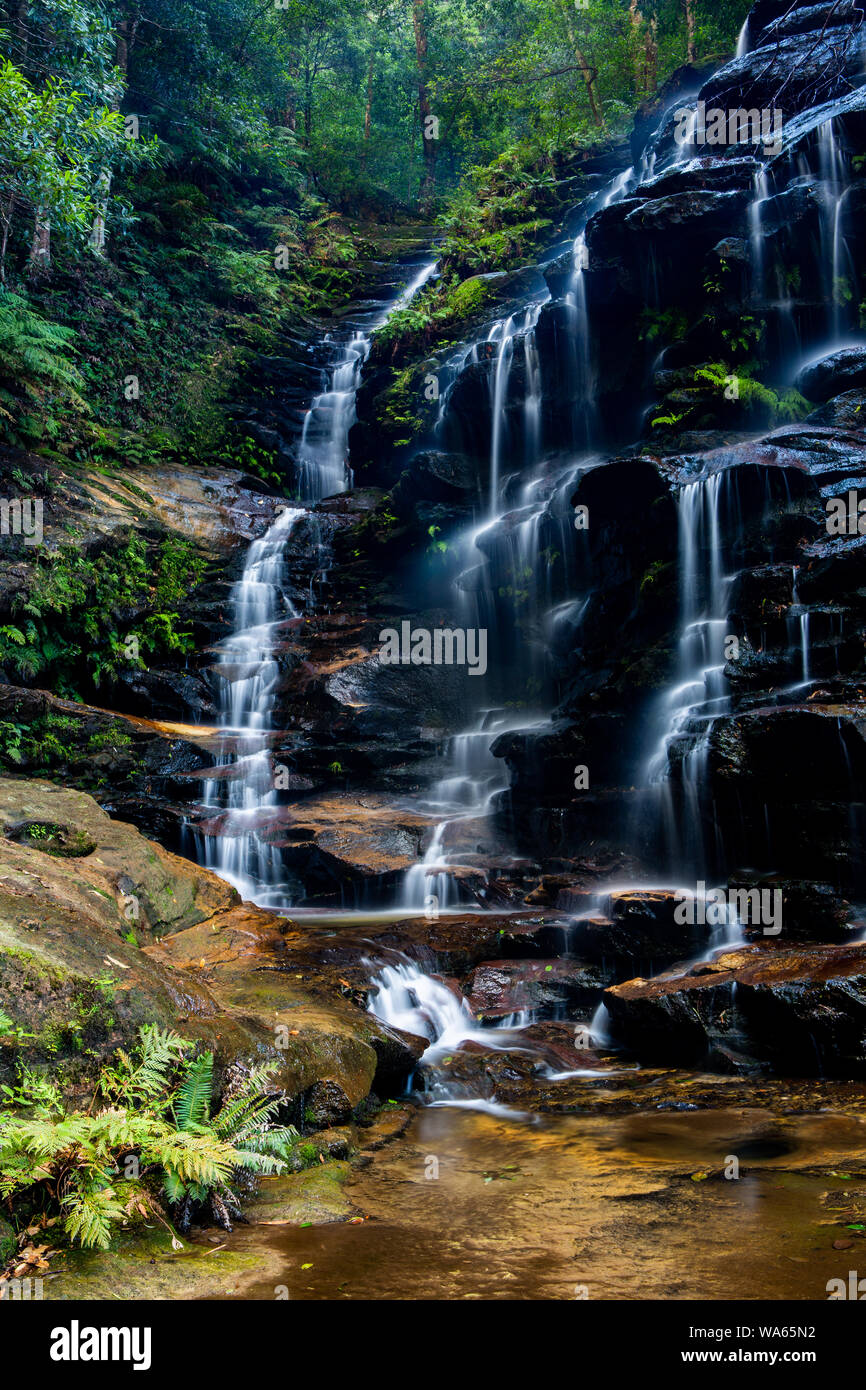 L'iconico Sylvia scende sulla Valle delle acque a piedi di Wentworth Falls Nuovo Galles del Sud Australia il 2 Agosto 2019 Foto Stock