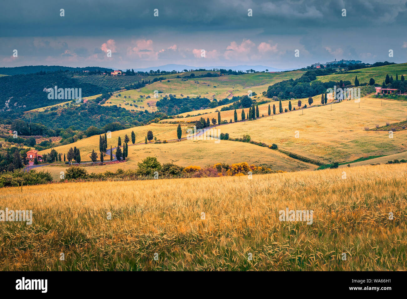 Viaggi popolari e la fotografia destinazione in Toscana. Avvolgimento pittoresca strada rurale nei pressi di Monticchiello, Toscana, Italia, Europa Foto Stock