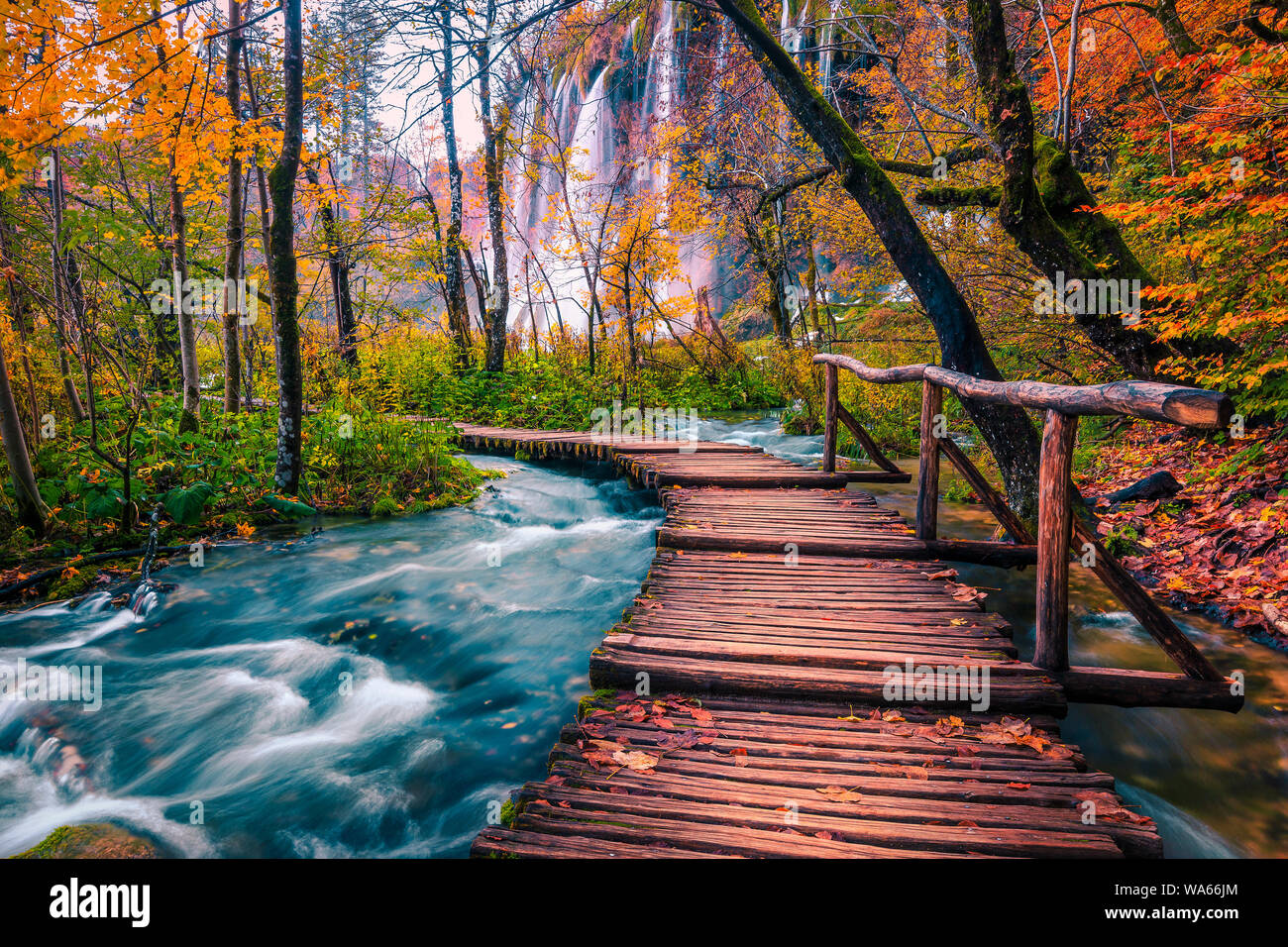 Turistica popolare ponte di legno in colori d'autunno deep forest. Passeggiata in legno con clean brook e spettacolari cascate, laghi di Plitvice National Pa Foto Stock