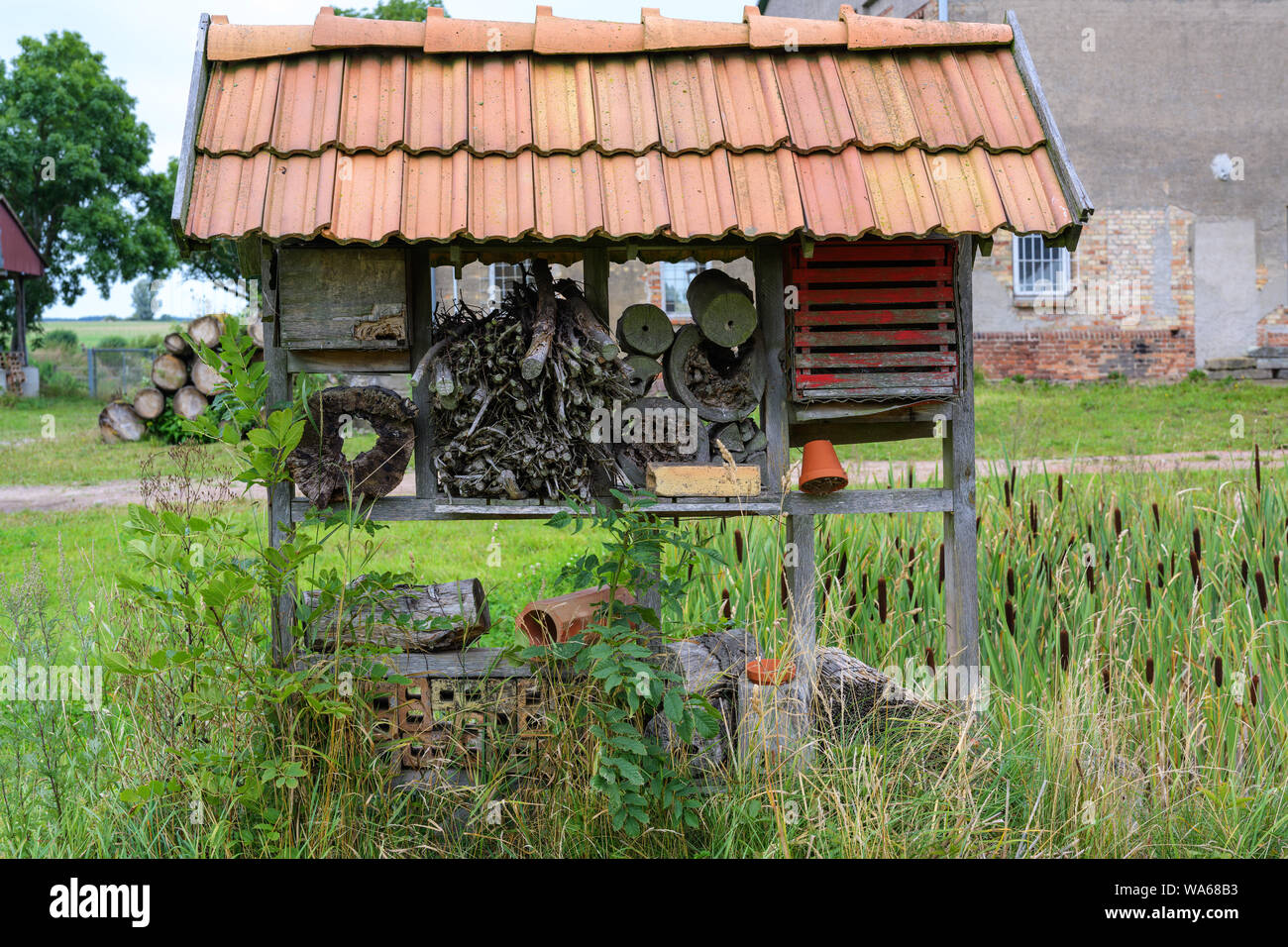 Rifugio di insetti e di nidificazione di aiuto con vari materiali in un telaio di legno sotto un tetto, aiuto per api selvatiche, il polline vola e molti altri utili insec Foto Stock