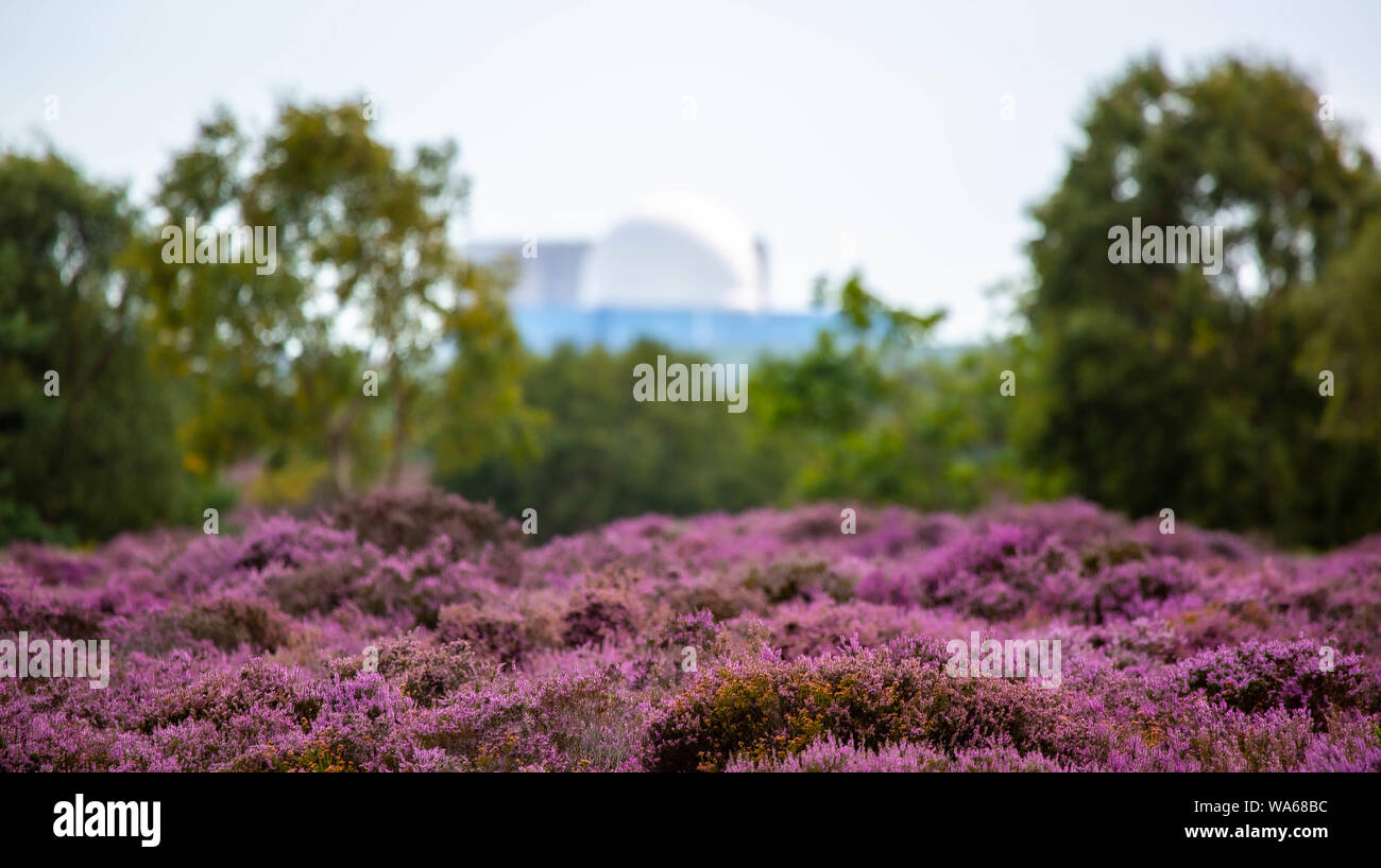 Sizewell centrale nucleare a distanza Foto Stock