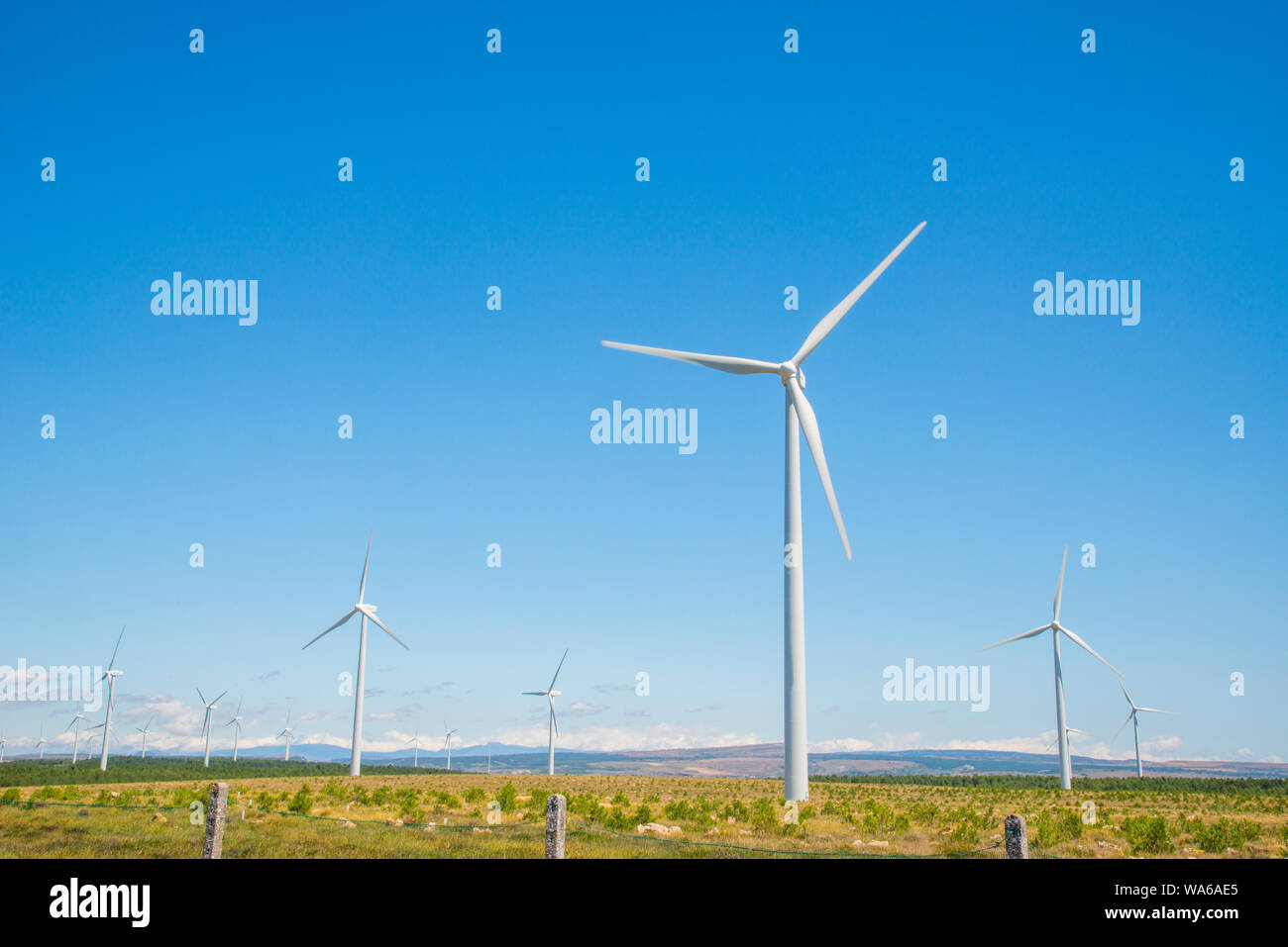 Wind Farm. Paramo de Masa, provincia di Burgos, Castilla Leon, Spagna. Foto Stock