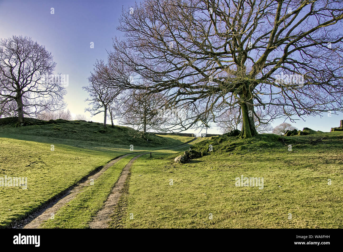 Un rurale scena inglese con una fattoria via passando attraverso un campo. Foto Stock