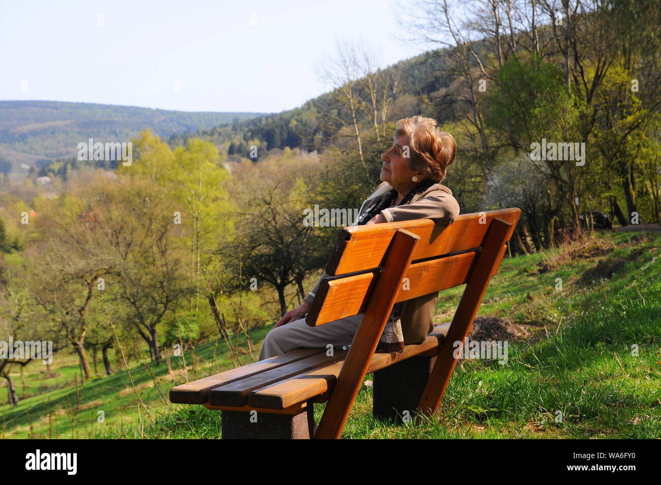 Il sambuco donna su banco guardando pensieroso Foto Stock