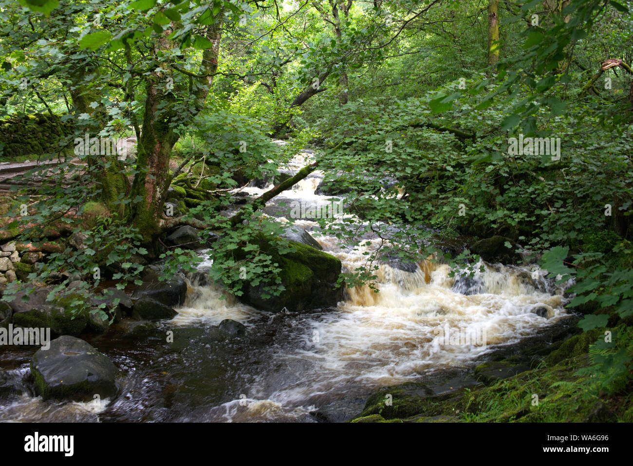 Aira Force e dintorni dei laghi Foto Stock
