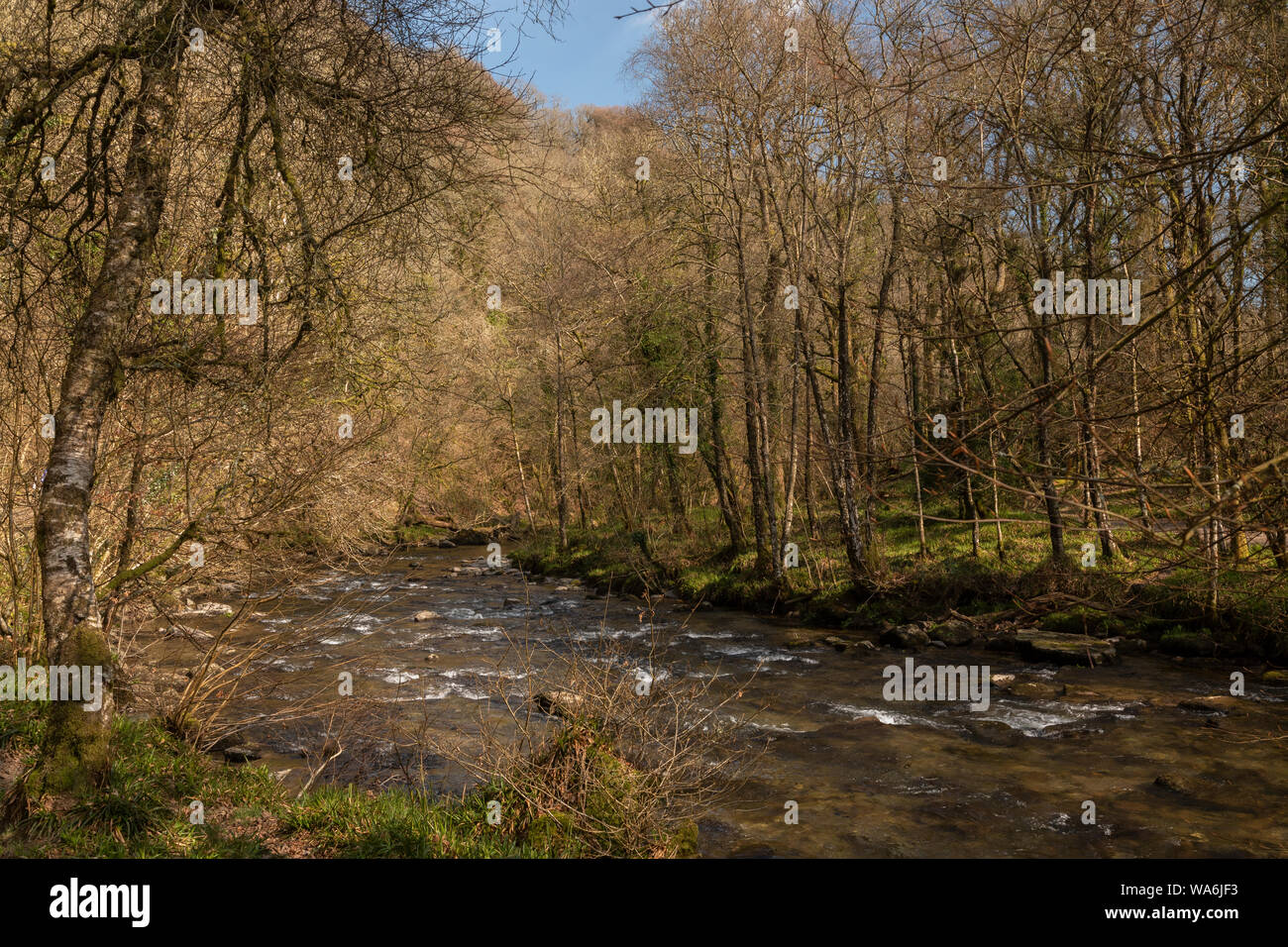 La Valle di Barle in fasi Tarr woodland NNR, appena sopra Tarr passi; Exmoor, West Somerset. Foto Stock