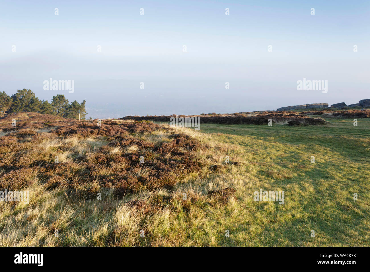 Ilkley Moor Rombalds Moor (SSSI sito), West Yorkshire, Inghilterra, Ottobre Foto Stock