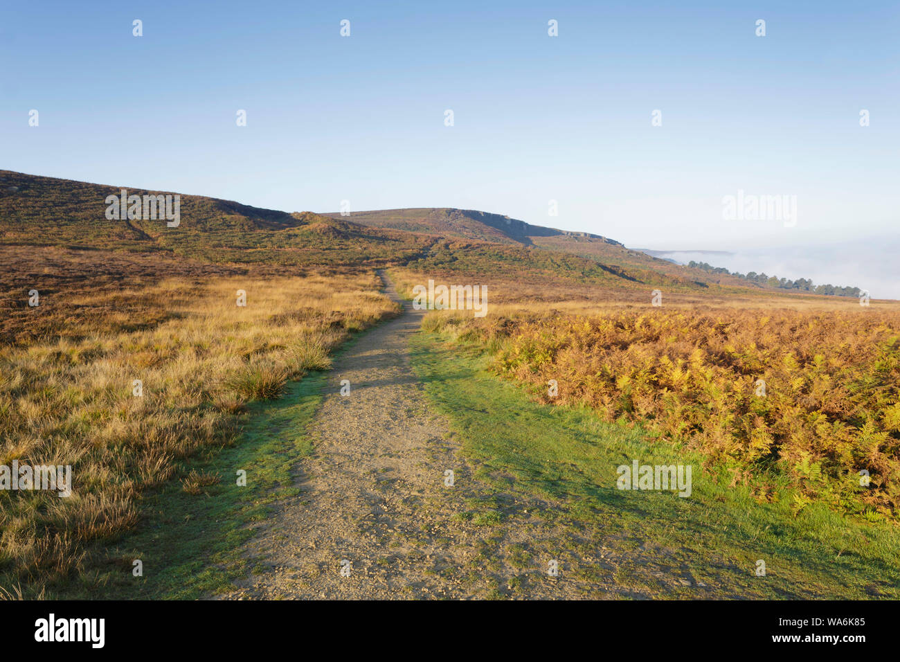 Percorso su Ilkley Moor Rombalds Moor (SSSI sito), West Yorkshire, Inghilterra, Ottobre Foto Stock