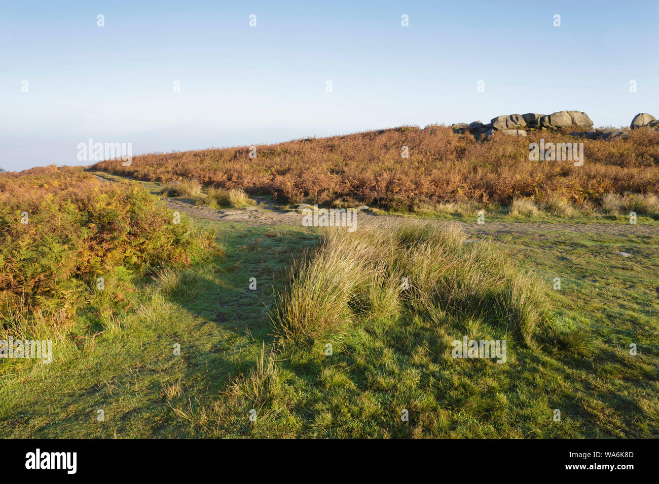 Ilkley Moor Rombalds Moor (SSSI sito), West Yorkshire, Inghilterra, Ottobre Foto Stock