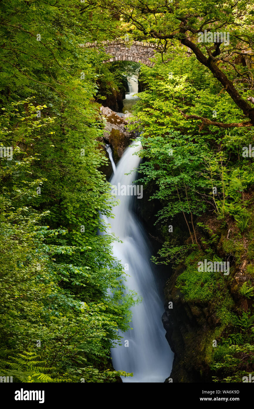Aira Force cascata, Lake District Foto Stock
