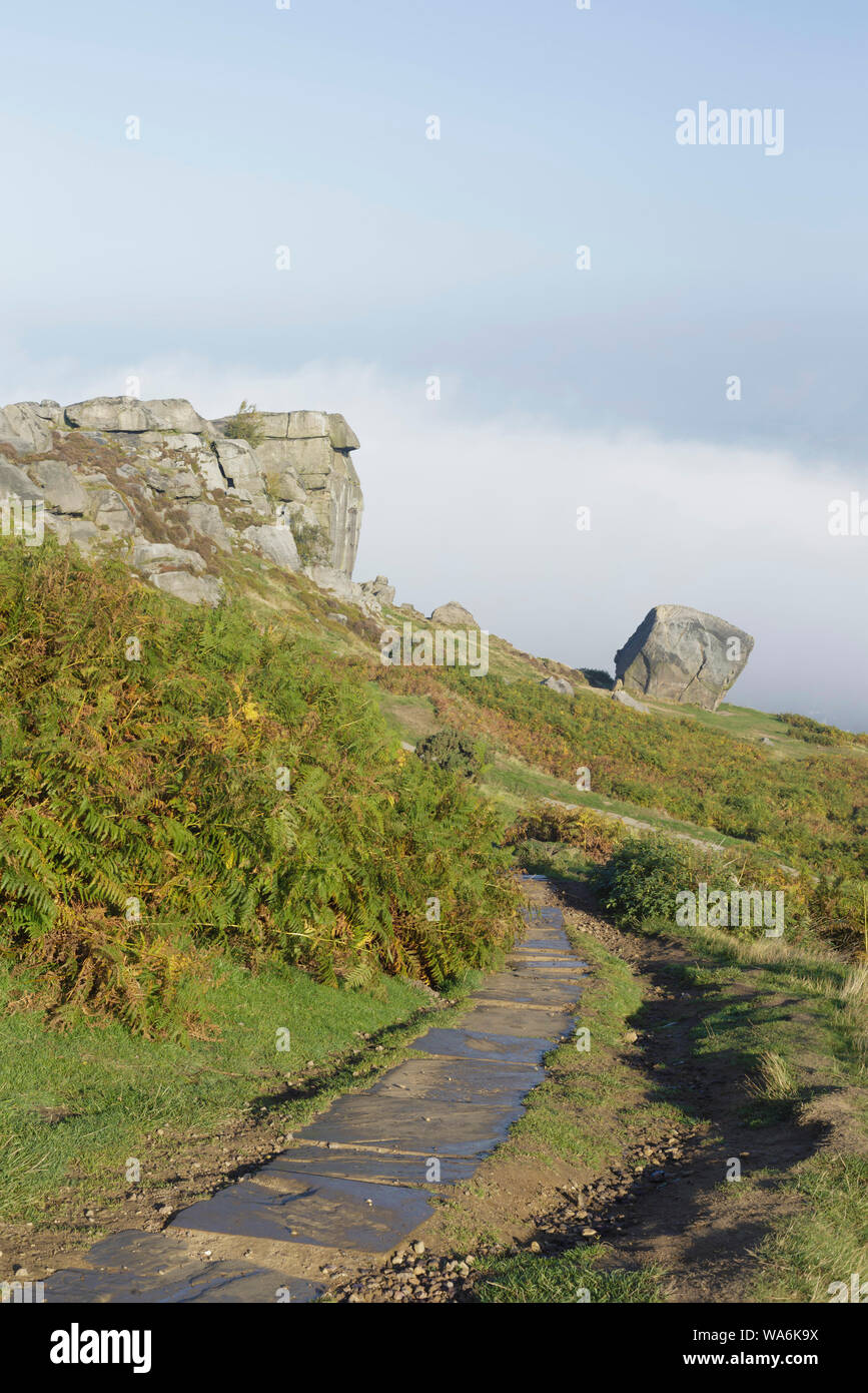 Patch di mucca e di rocce di vitello, Ilkley Moor Rombalds Moor (SSSI sito), West Yorkshire, Inghilterra, Ottobre Foto Stock