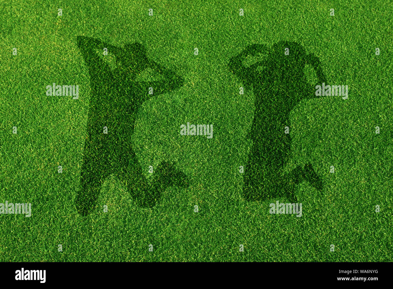 Ombra di una coppia in erba che salta in aria Foto Stock