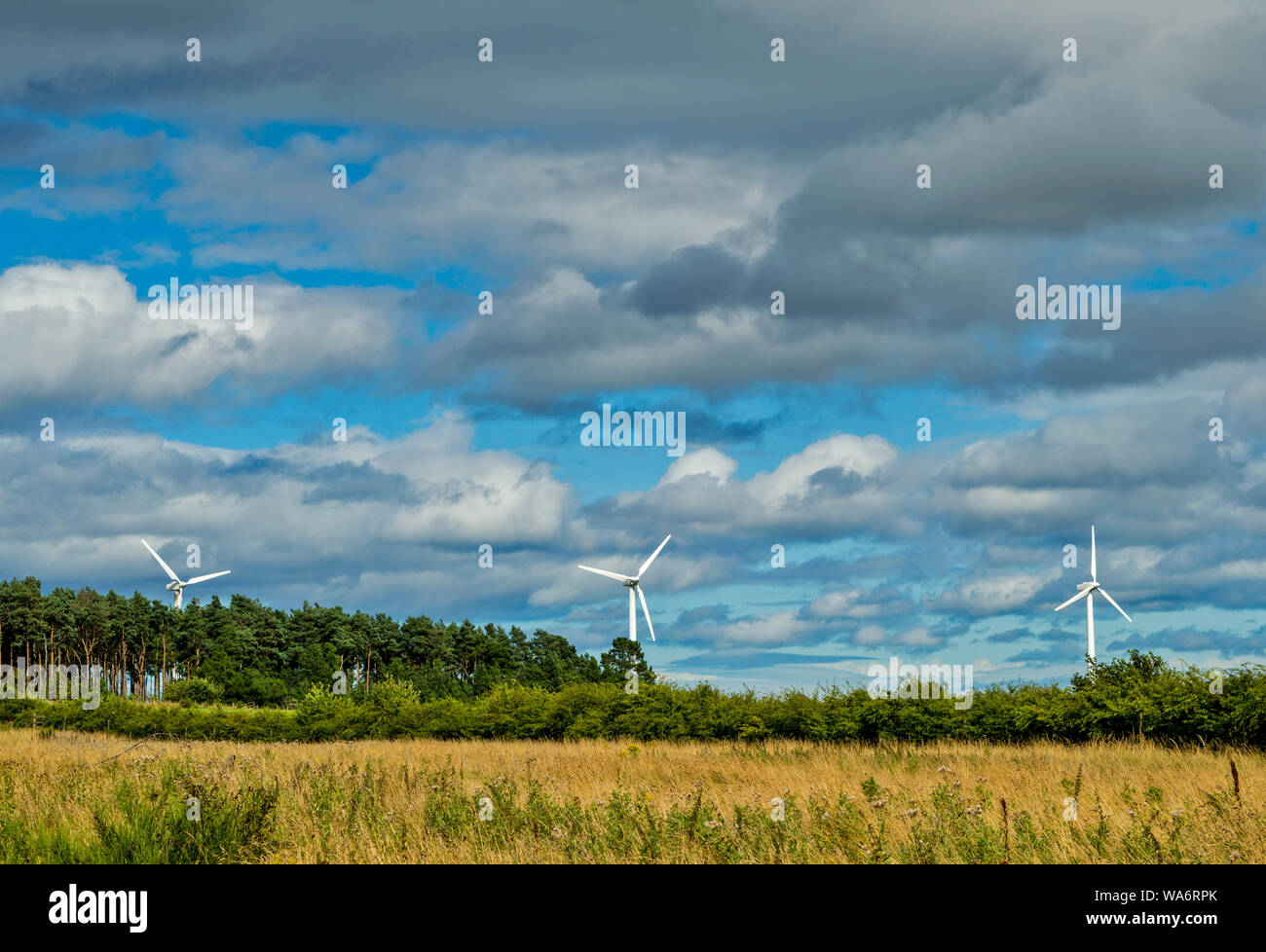 FINDHORN FOUNDATION MORAY Scozia tre turbine eoliche con cielo blu e nuvole bianche in estate Foto Stock