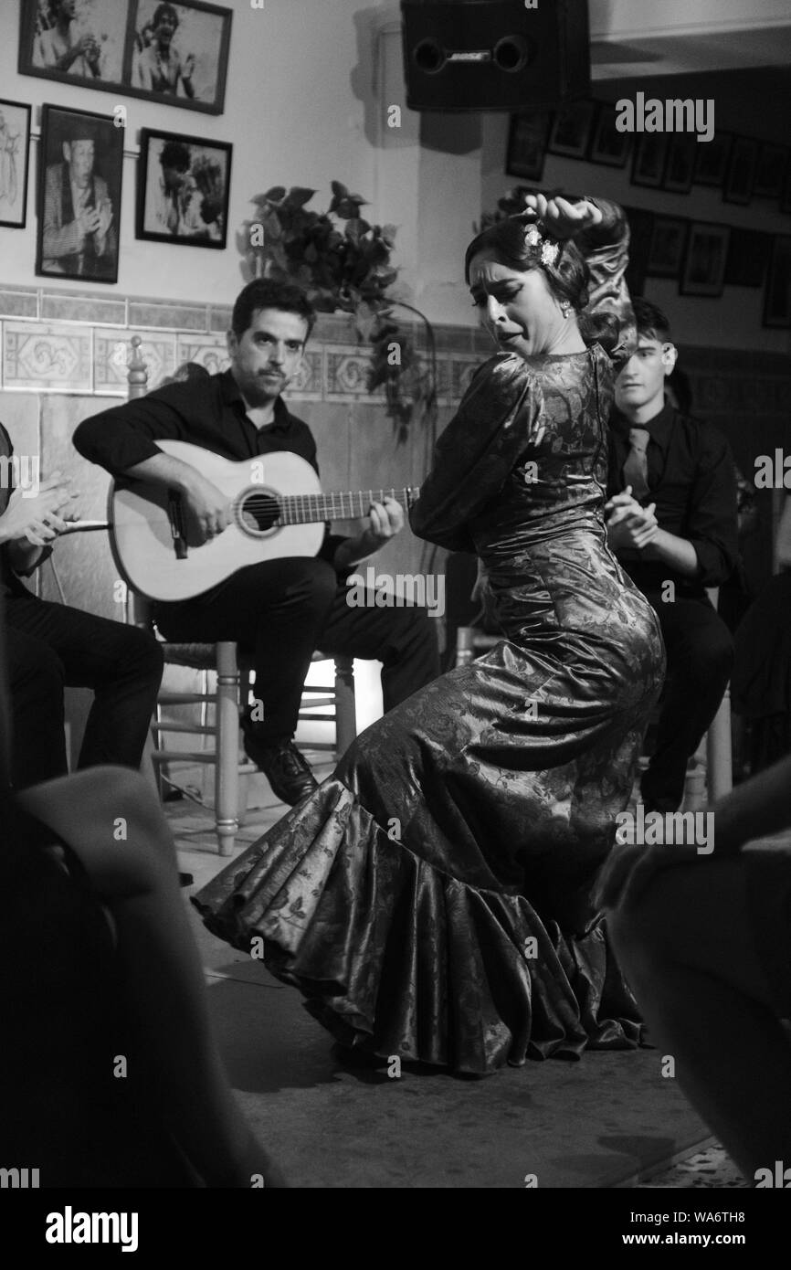 In estate le notti di Flamenco a peña flamenca Nino de Velez in Velez-Malaga Foto Stock