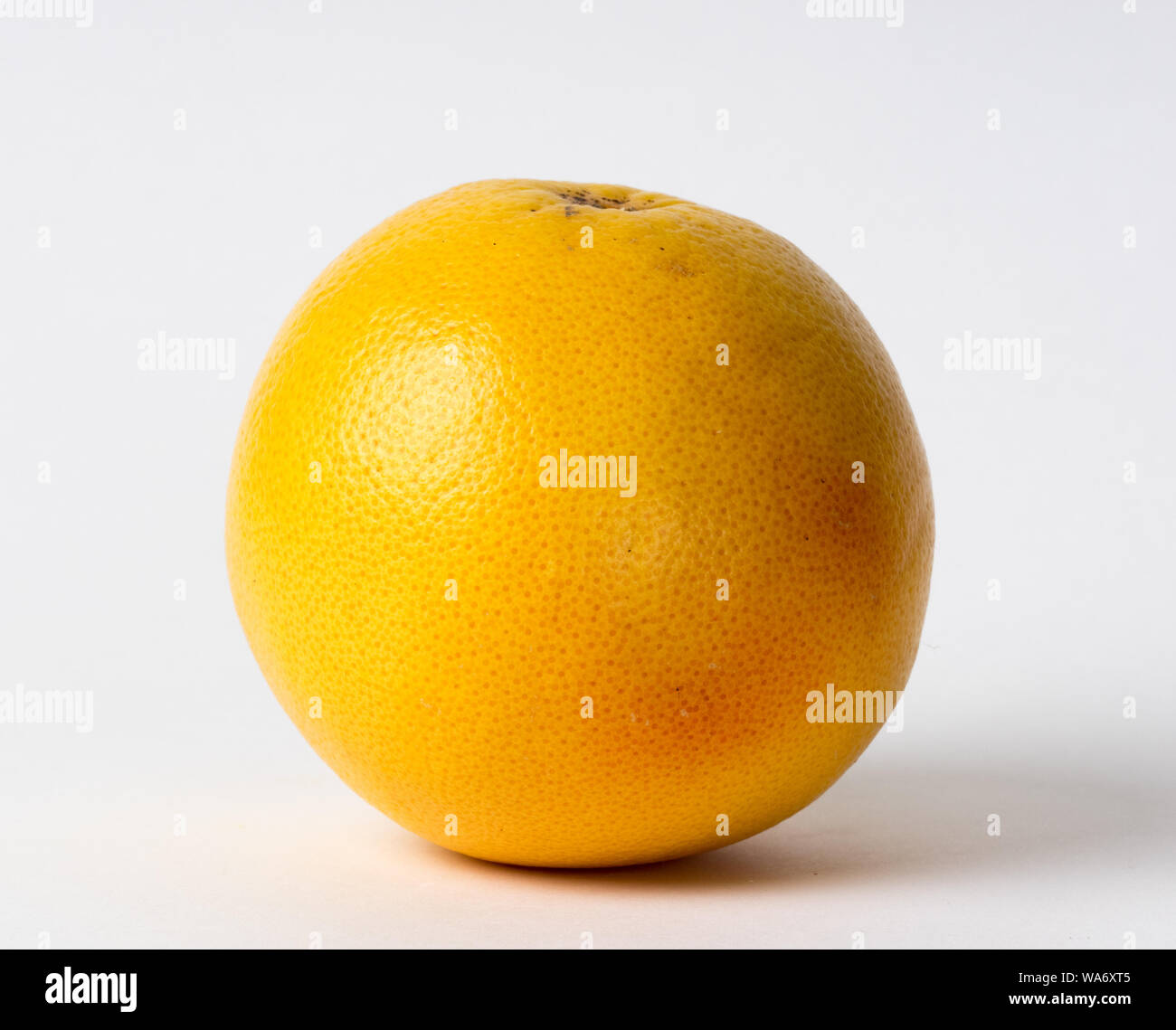 Un intero pompelmo Foto Stock
