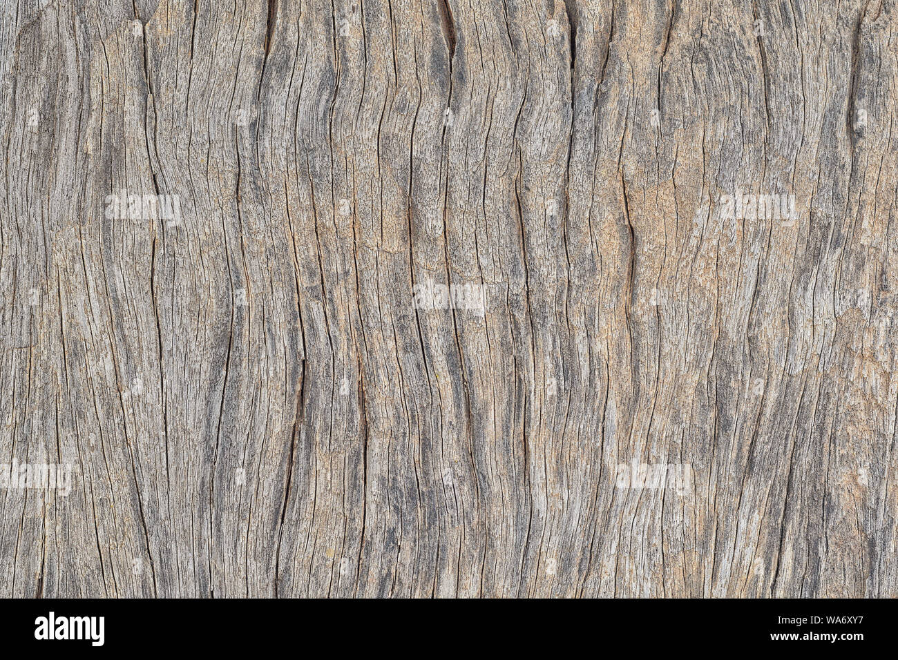 Il legno vecchio listone texture di superficie della scheda di legno vintage decorativo del pannello Foto Stock