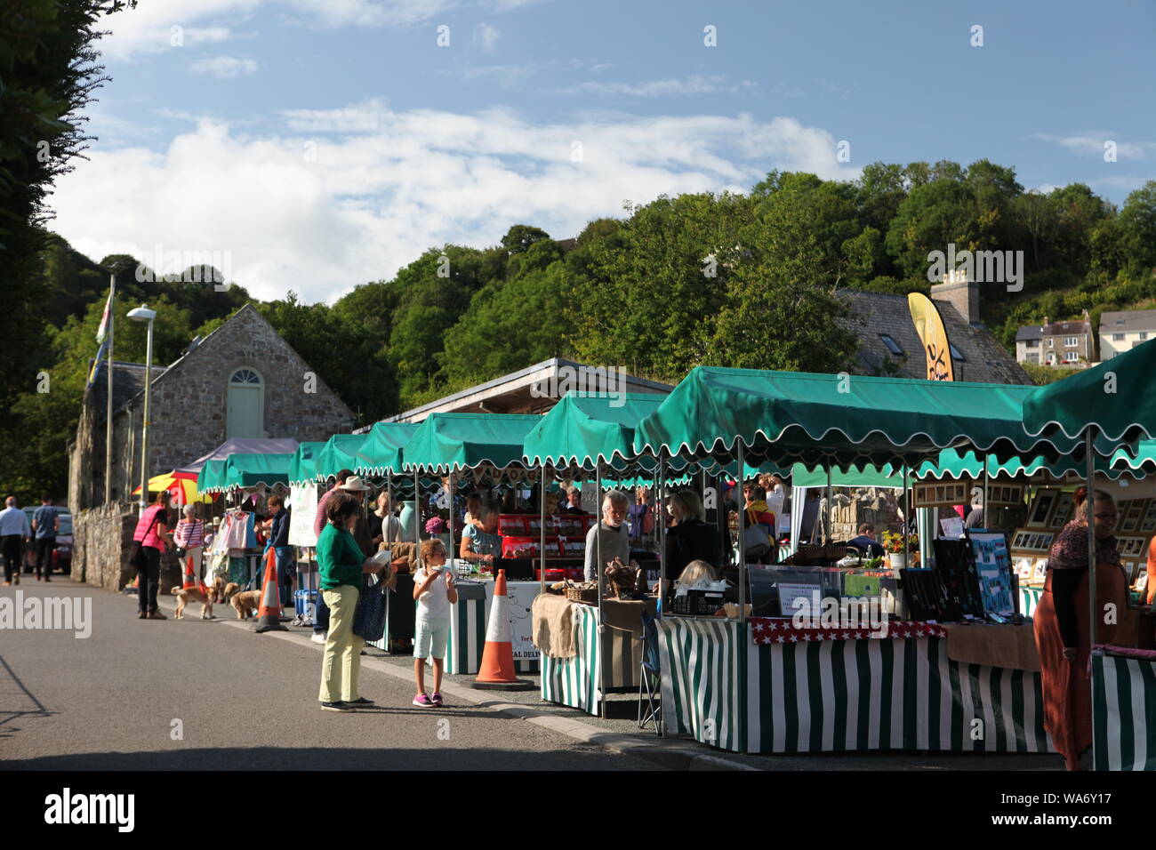 Mercato Di St Dogmaels, Galles Foto Stock