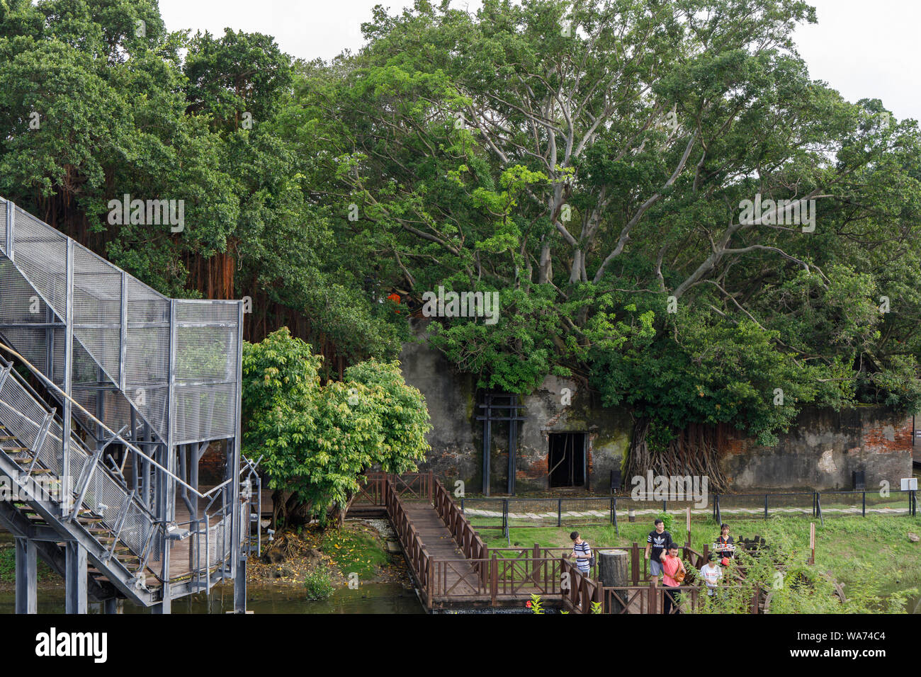 Anping Tree House sta diventando una delle principali attrazioni nella città di Tainan. Foto Stock