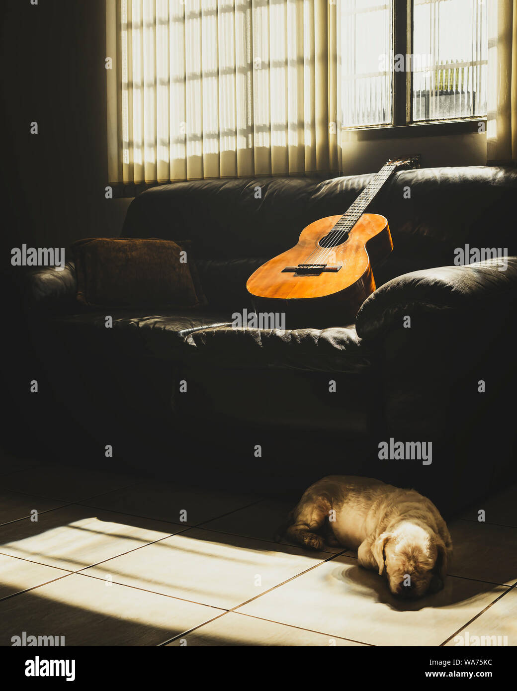 Vecchia chitarra acustica appoggiata sul divano di casa illuminata dalla luce del sole attraverso la finestra e un cane sdraiato sul pavimento. Home scena, musica backgr Foto Stock