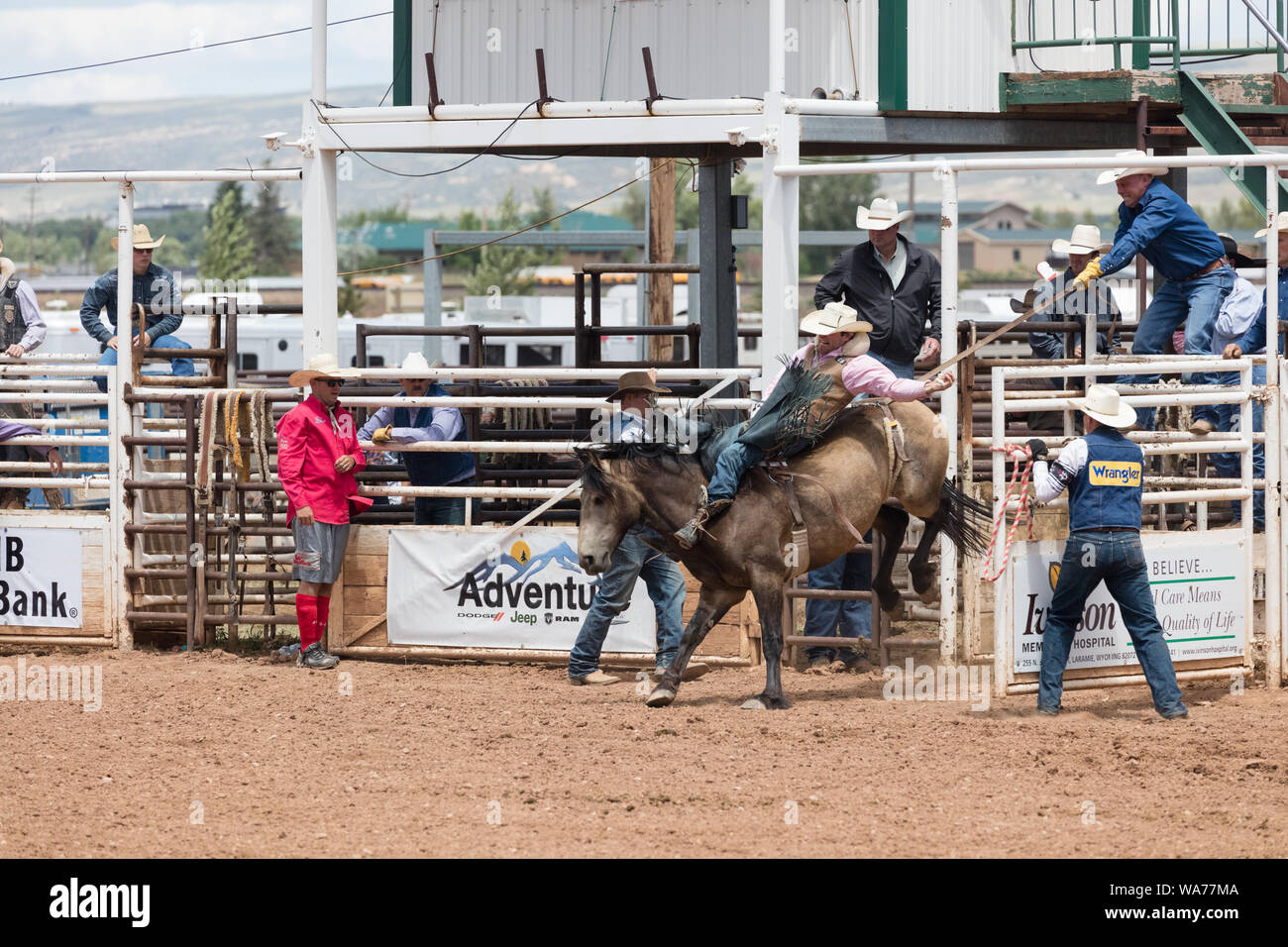 Un cowpoke sente il pieno effetto di strappi bronco, dritto fuori del cancello ad una grande piscina rodeo che è una funzione dell'annuale (in questo caso settantacinquesimo anniversario) Giornate Giubilari festival A Laramie, Wyoming Foto Stock