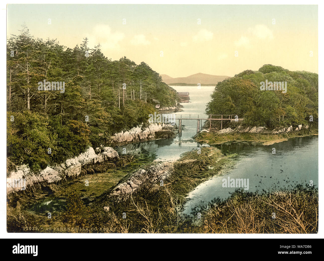 A Parknasilla. Contea di Kerry, Irlanda Foto Stock
