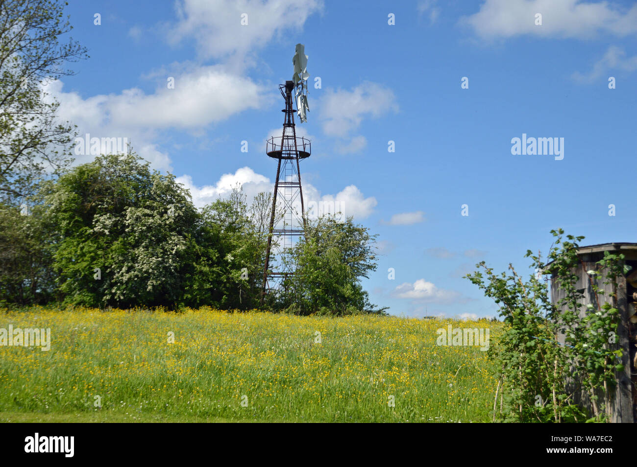 La girandola nella torbida estate cielo Foto Stock