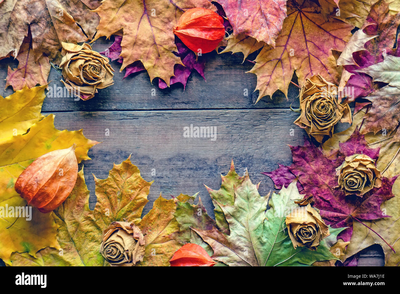 Telaio di estratto secco di foglie di autunno e le rose su una tavola di legno invecchiato sfondo . Copia dello spazio. Colore di autunno, autunno umore Foto Stock