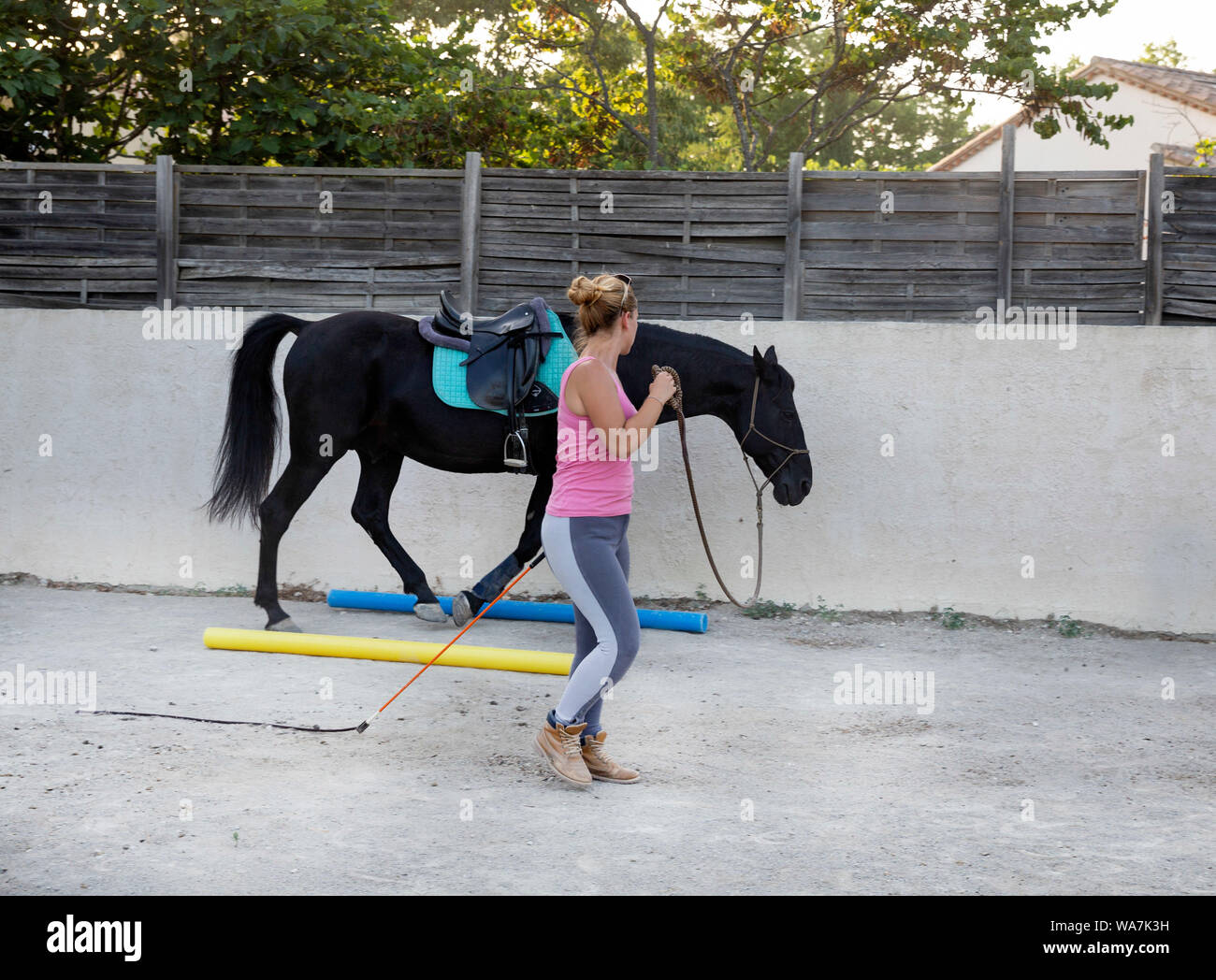 Ragazza di equitazione sono la formazione il suo cavallo nero Foto Stock