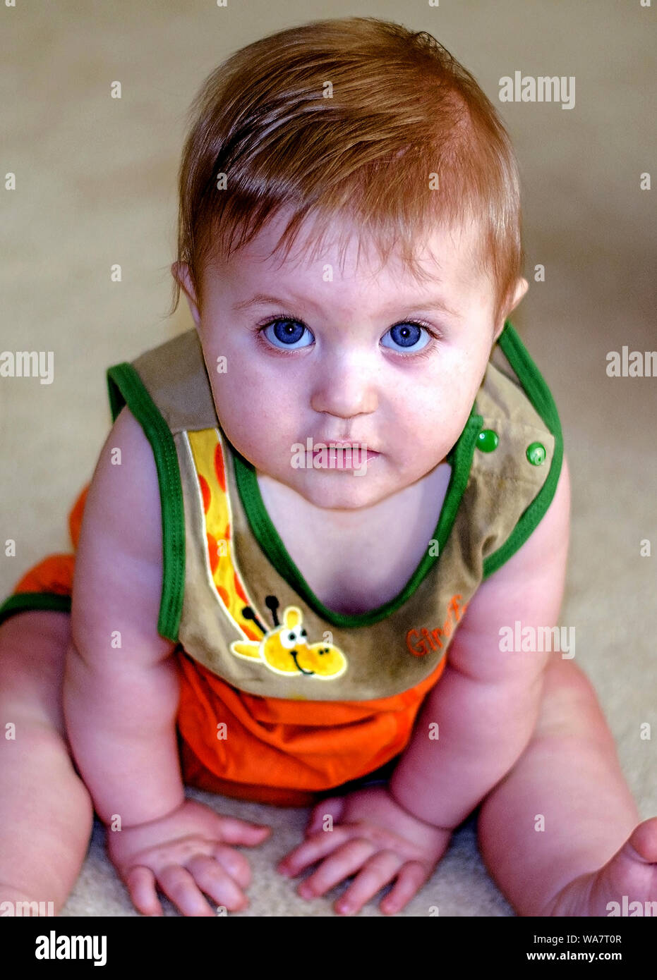 Sweet baby boy con grandi occhi blu guardando verso l'alto la fotocamera Foto Stock