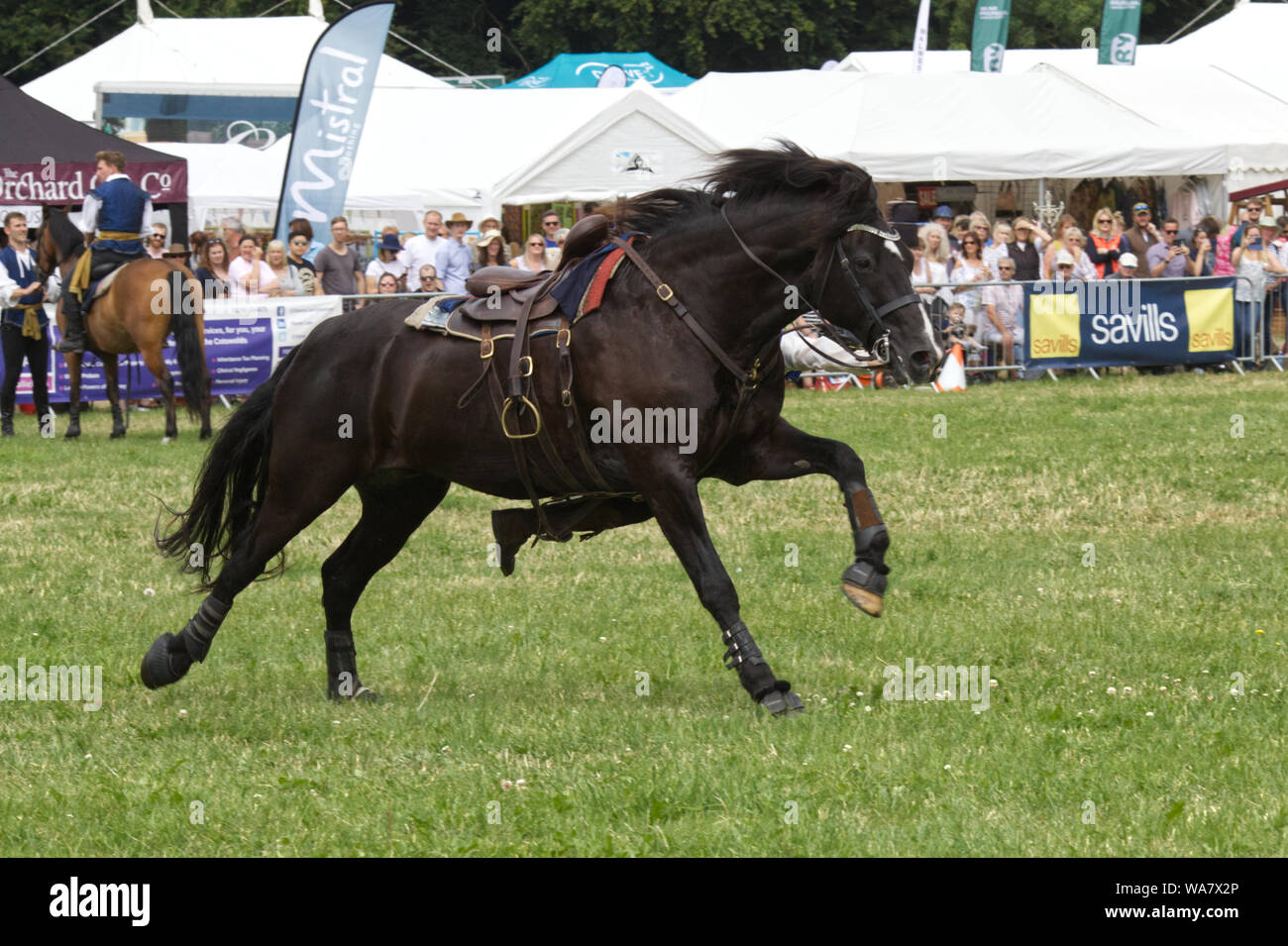 I piloti equestre stunt team Foto Stock