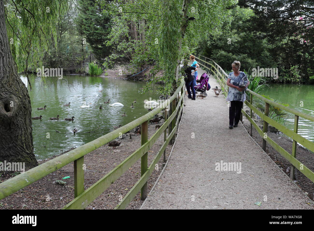 Louise attraversando un ponte tra due stagni a Whisby Centro giardino con salici intorno gli stagni e le anatre in loro Foto Stock