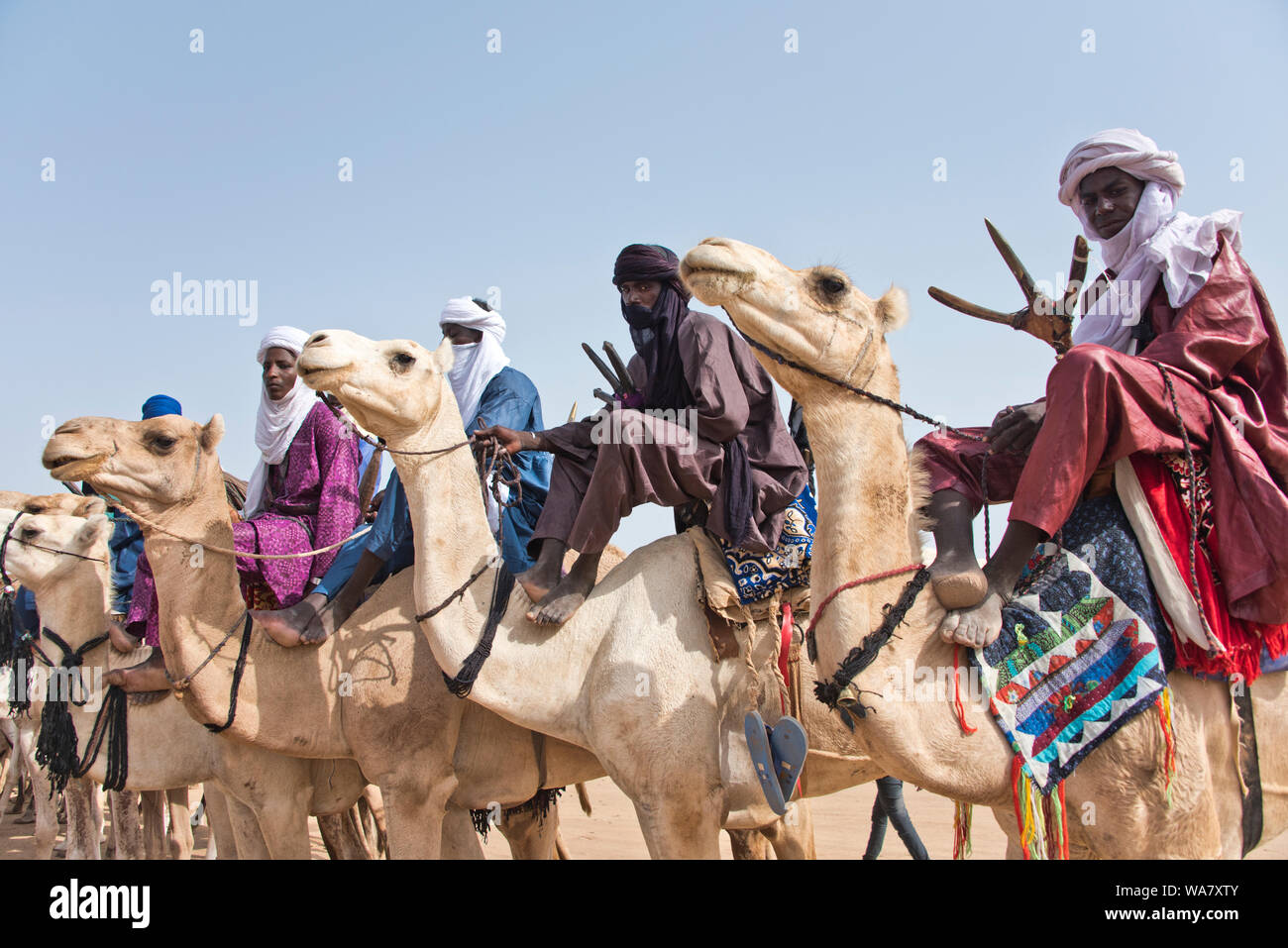 Touareg uomini sui cammelli a un tradizionale raduno nomade, nei pressi di Agadez, Niger Foto Stock
